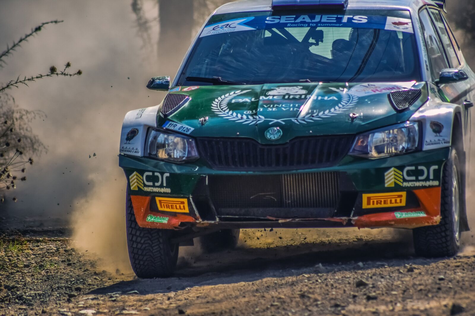 Nikon D3300 sample photo. Car, rally, auto photography