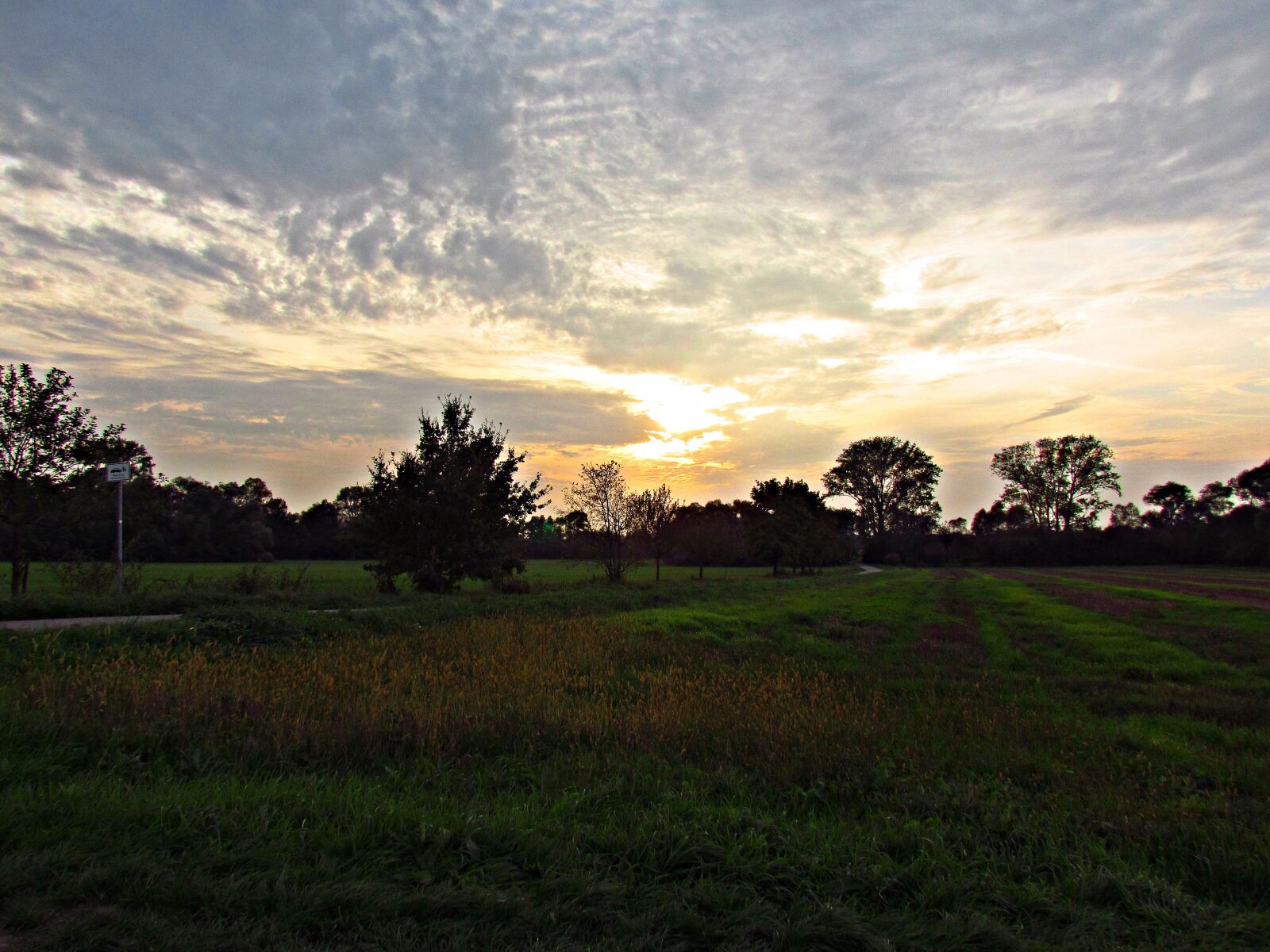 Canon PowerShot SX30 IS sample photo. Field, meadow, evening photography