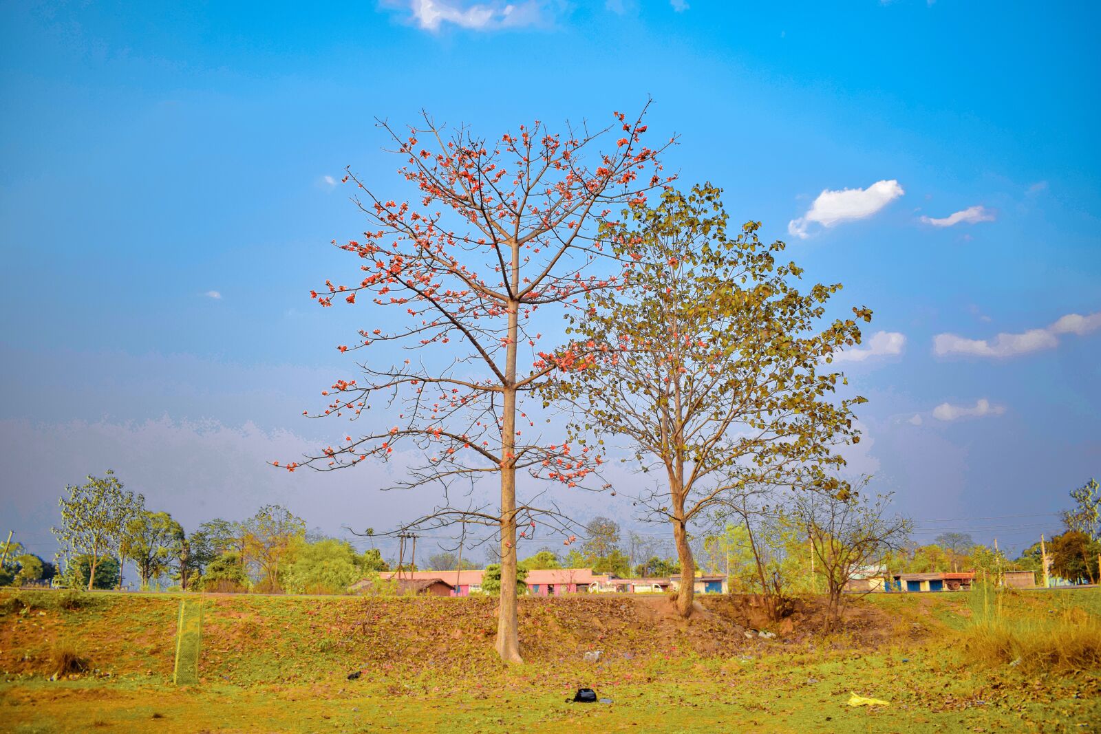 Nikon D3300 sample photo. Nature, sun, summer photography