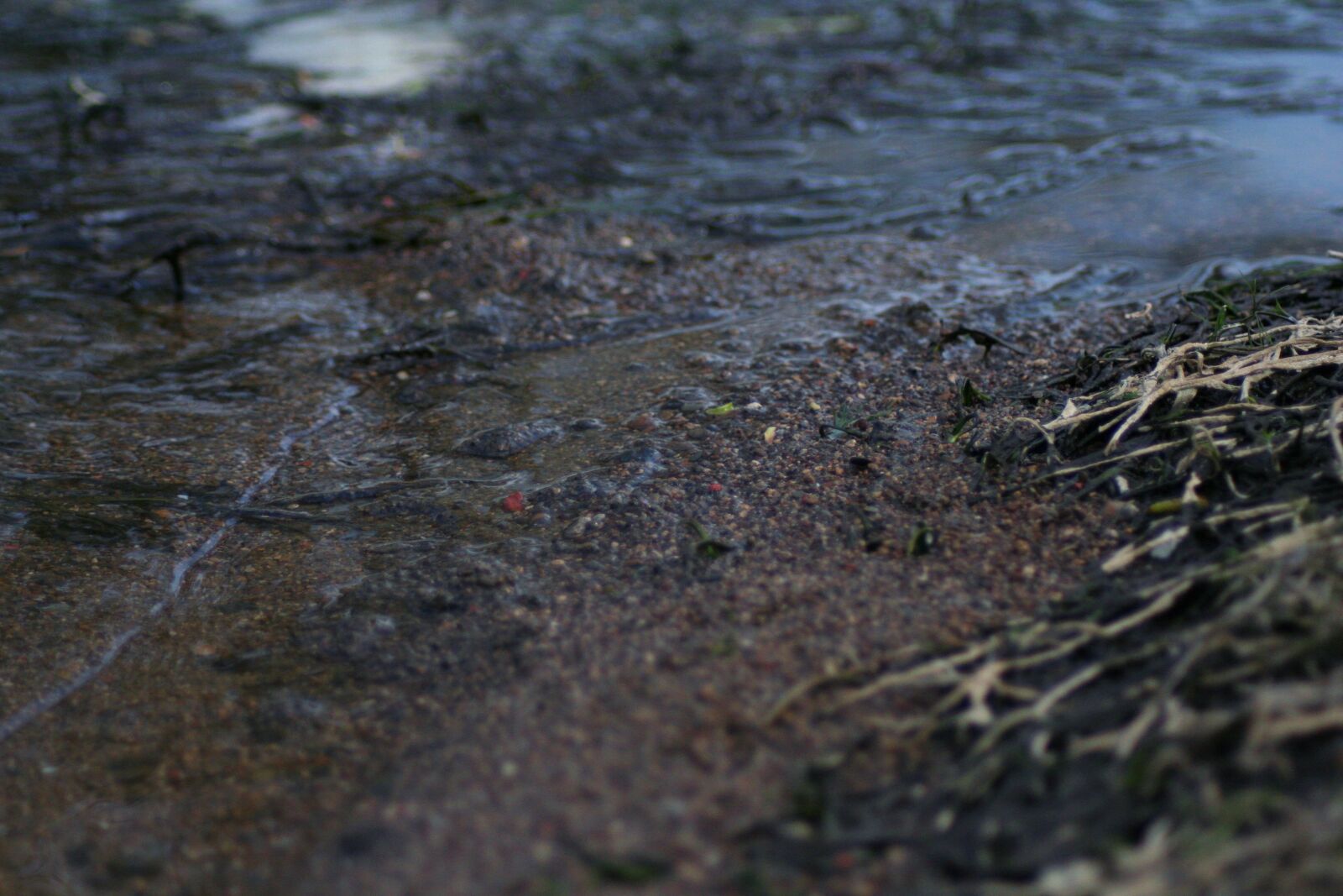 Canon EOS 350D (EOS Digital Rebel XT / EOS Kiss Digital N) sample photo. River, river bank, landscape photography