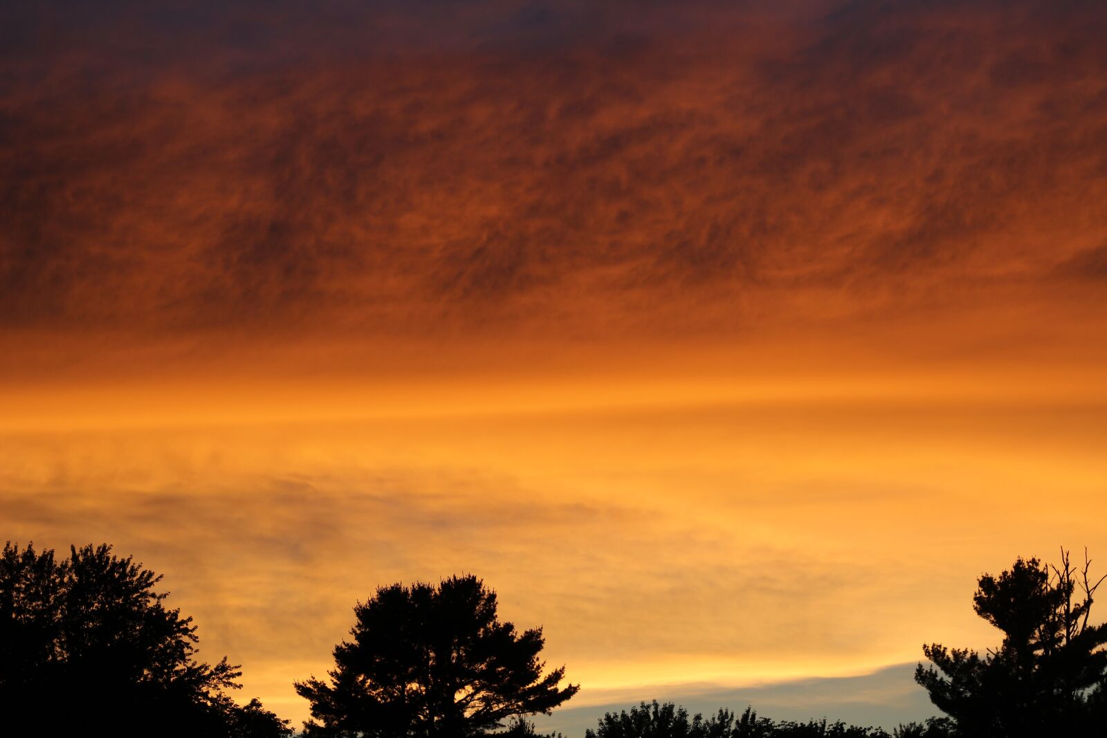 Canon EOS 1200D (EOS Rebel T5 / EOS Kiss X70 / EOS Hi) sample photo. Sunset, pink, yellow photography