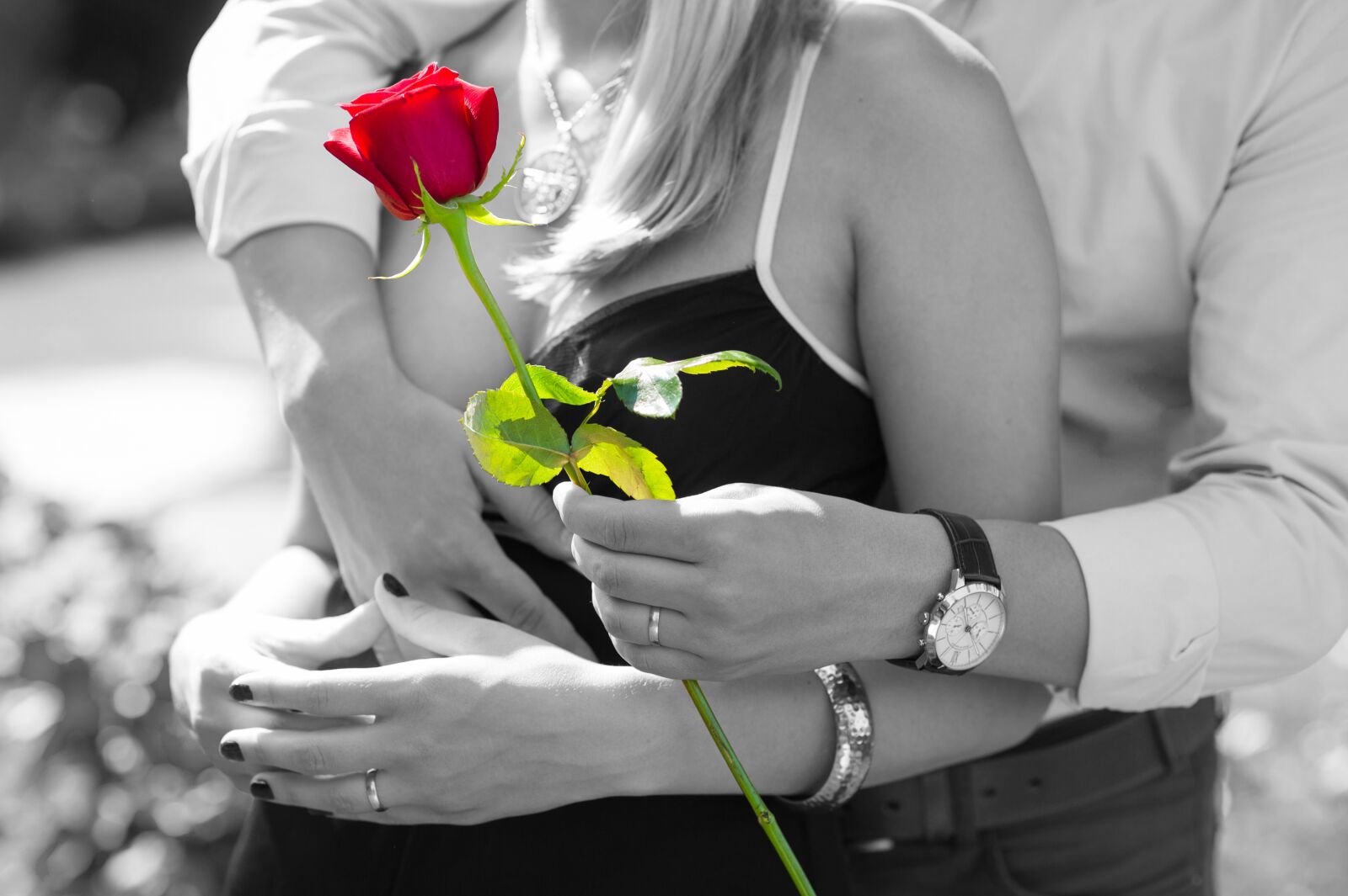 Nikon D3S sample photo. Red rose, love, romantic photography