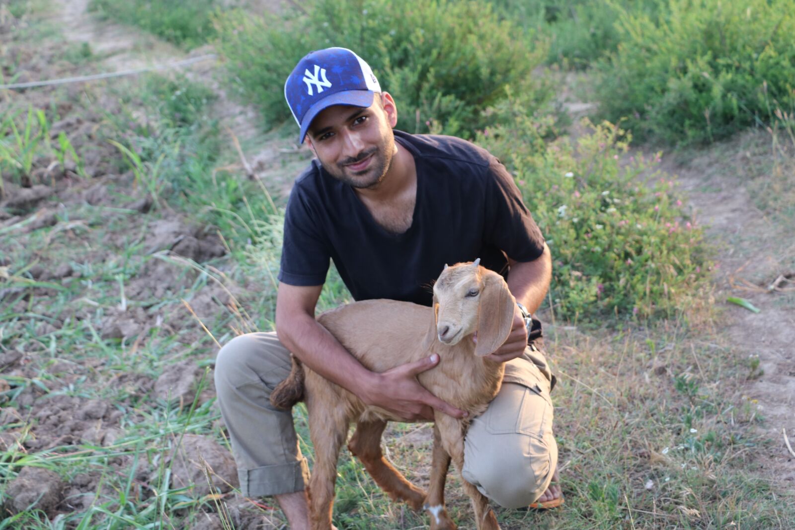 Canon EOS 750D (EOS Rebel T6i / EOS Kiss X8i) sample photo. Nature, goat, kashmir photography