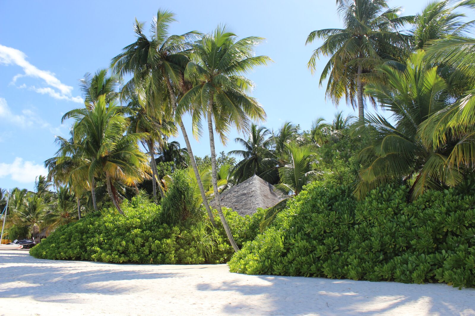 Canon EOS 600D (Rebel EOS T3i / EOS Kiss X5) sample photo. Beach, maldives, palm trees photography