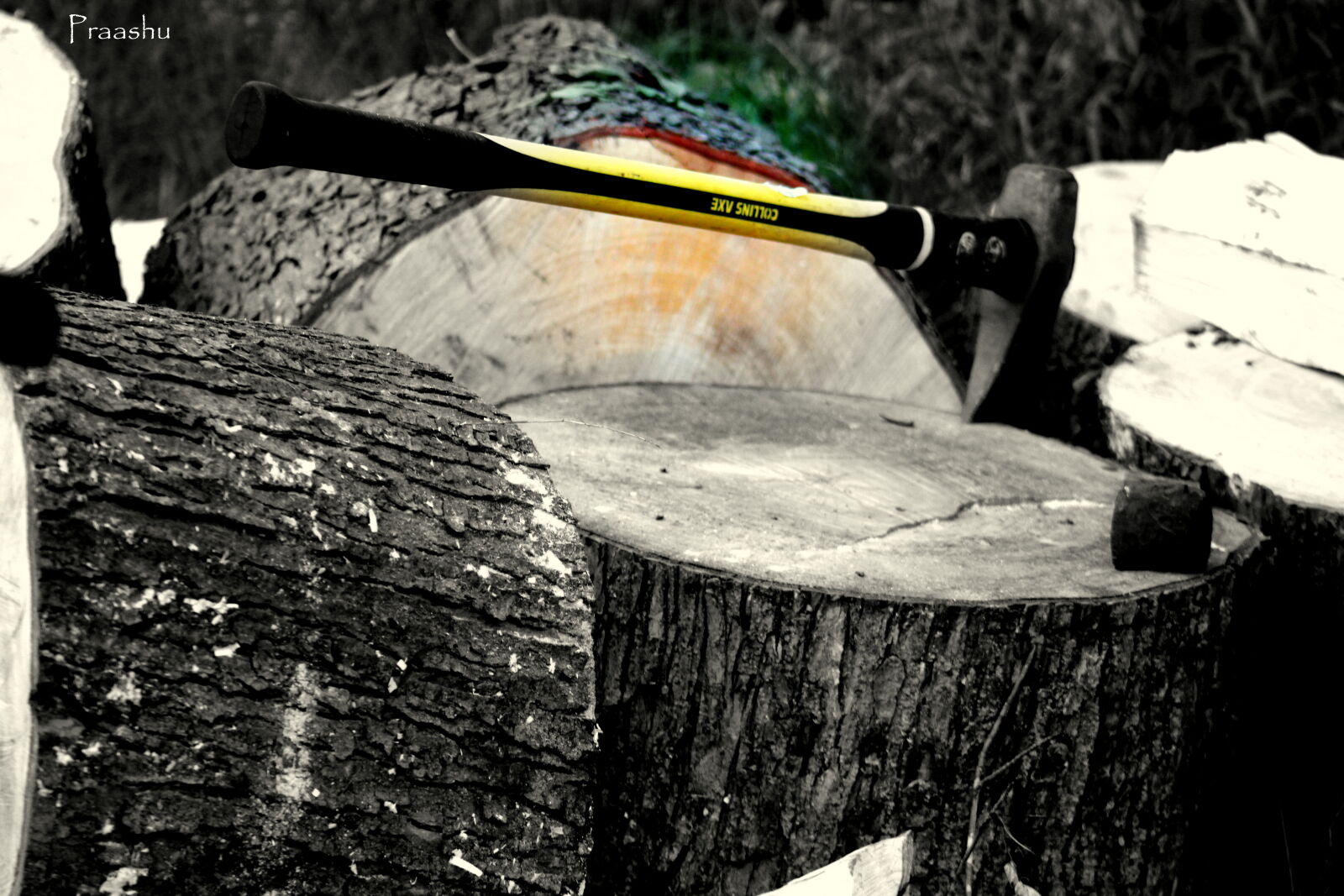 Canon EF 75-300mm f/4-5.6 sample photo. Wood photography