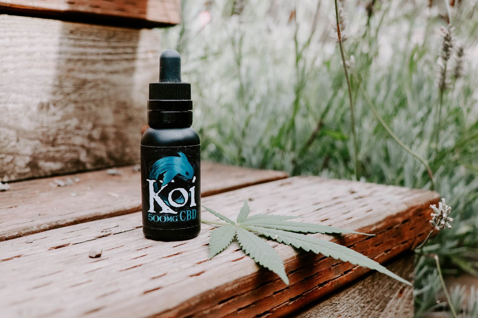 Canon EF-S 18-135mm F3.5-5.6 IS USM sample photo. Cbd oil, marijuana, leaf photography