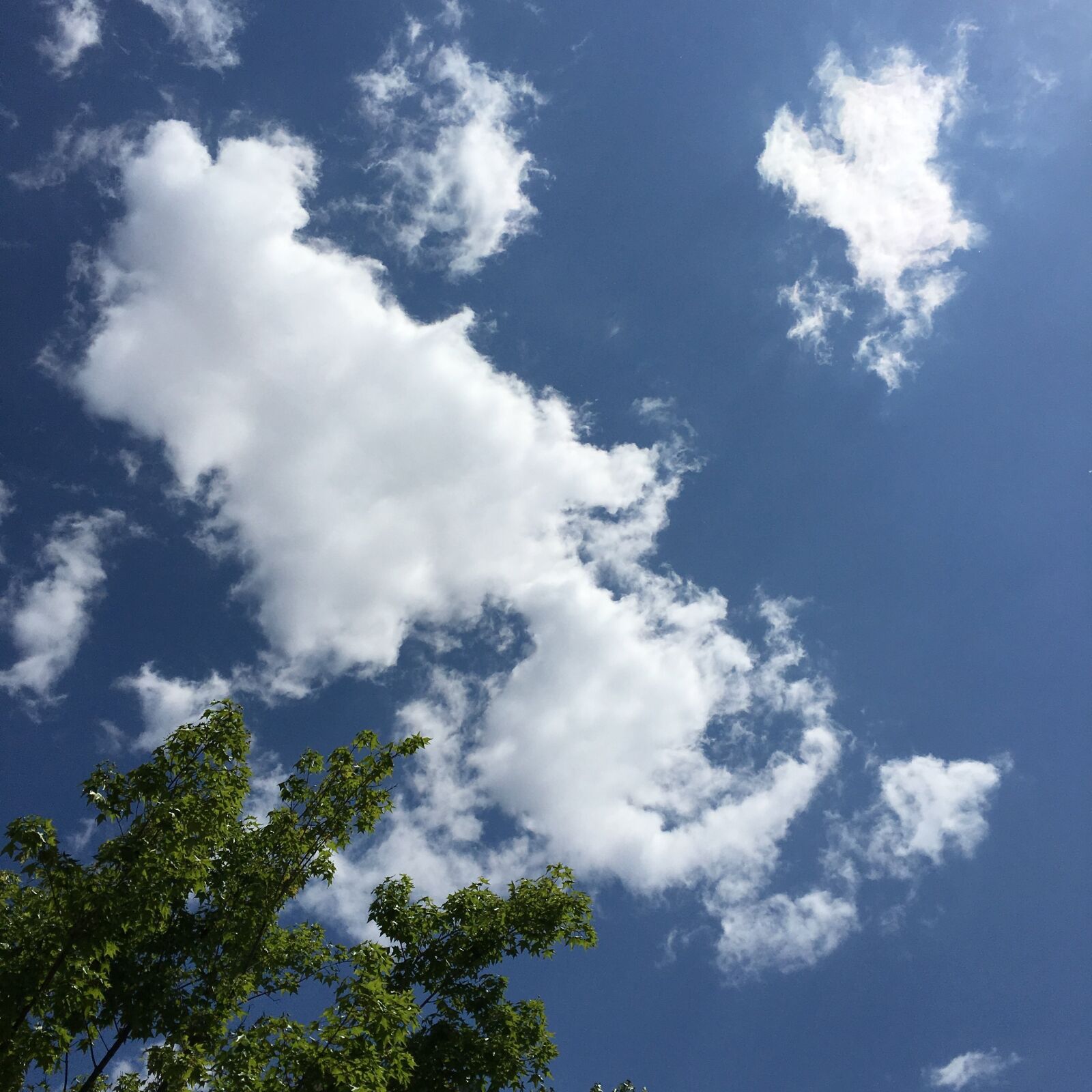 Apple iPhone 6s Plus sample photo. Blue sky and white photography