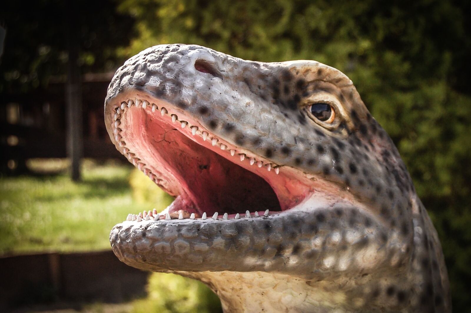 Nikon D40 sample photo. Lizard, reptile, animal, dinosaur photography