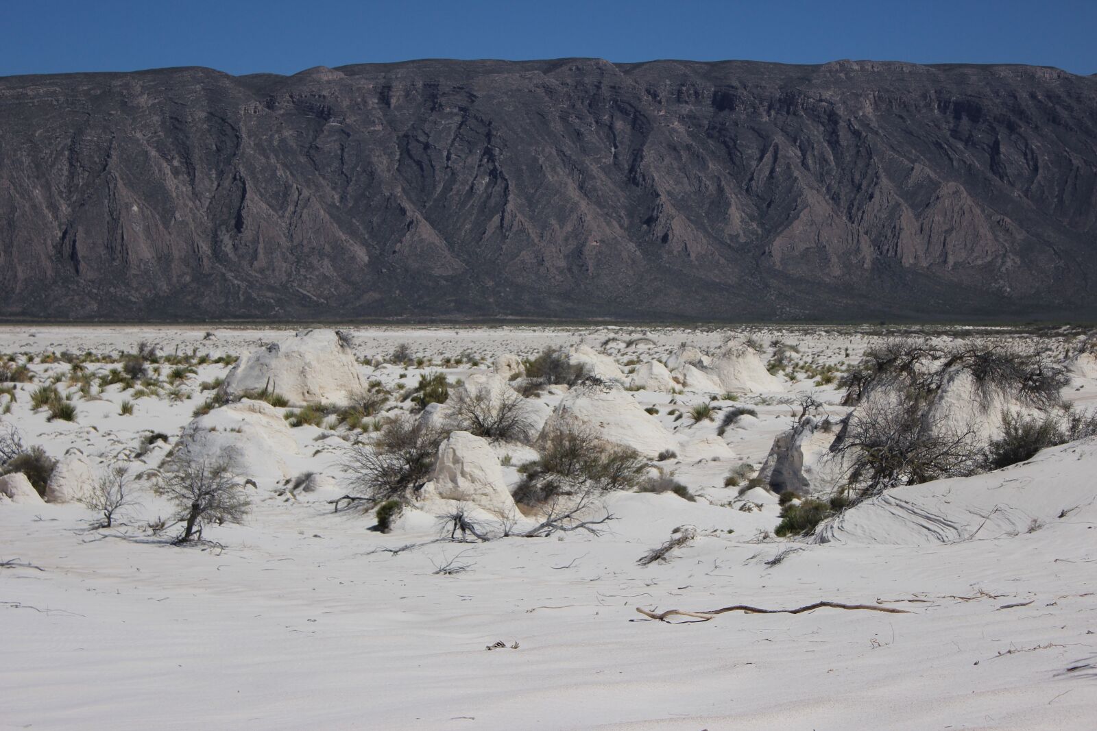 Canon EOS 600D (Rebel EOS T3i / EOS Kiss X5) sample photo. Sand, white, white desert photography