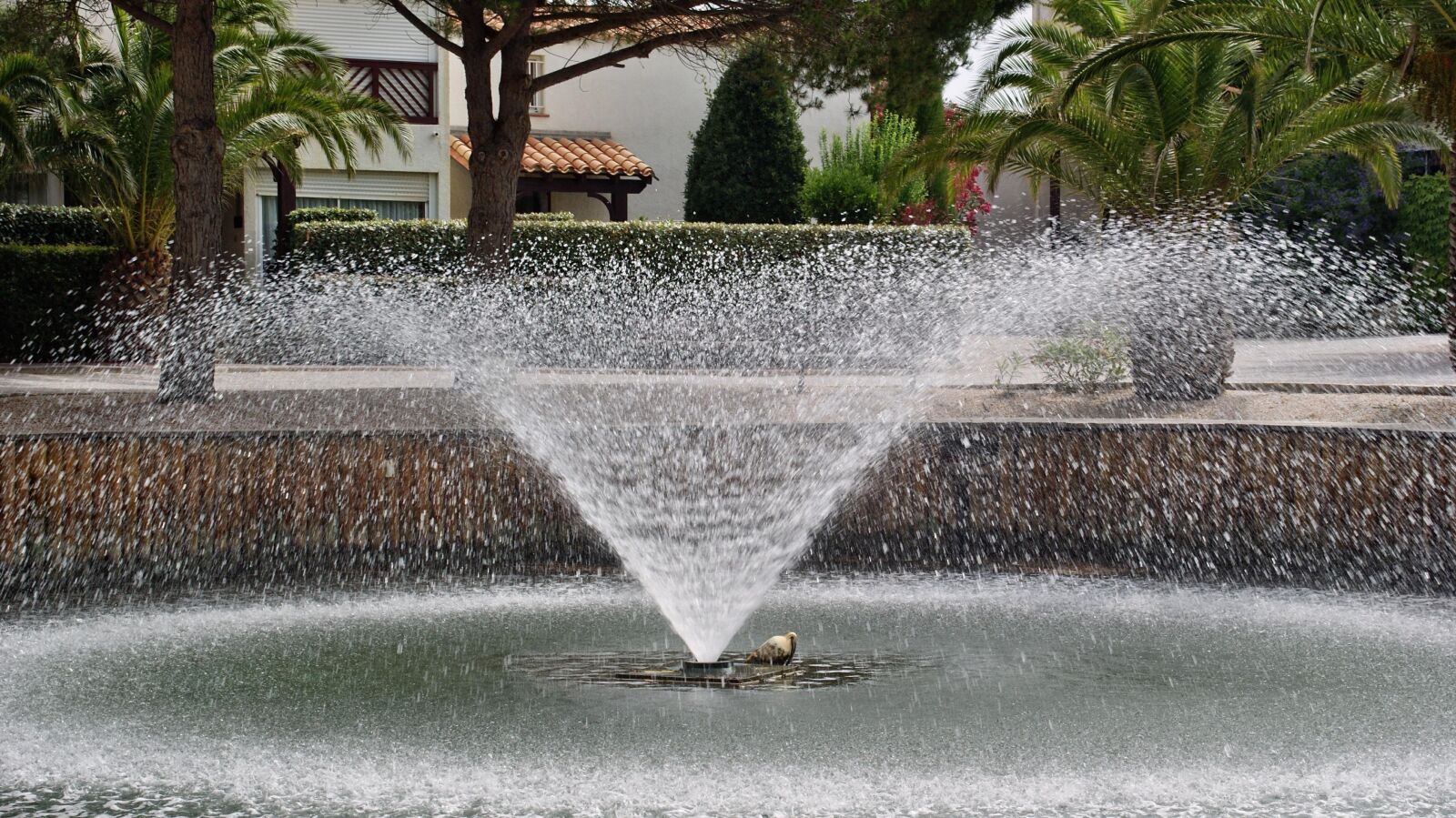 Sony Alpha DSLR-A230 sample photo. France, st cyprien, water photography