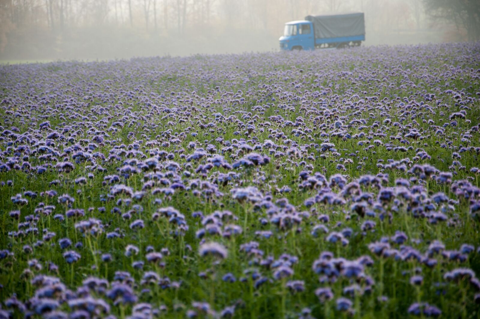 Nikon D300 sample photo. Field, landscape, nature photography
