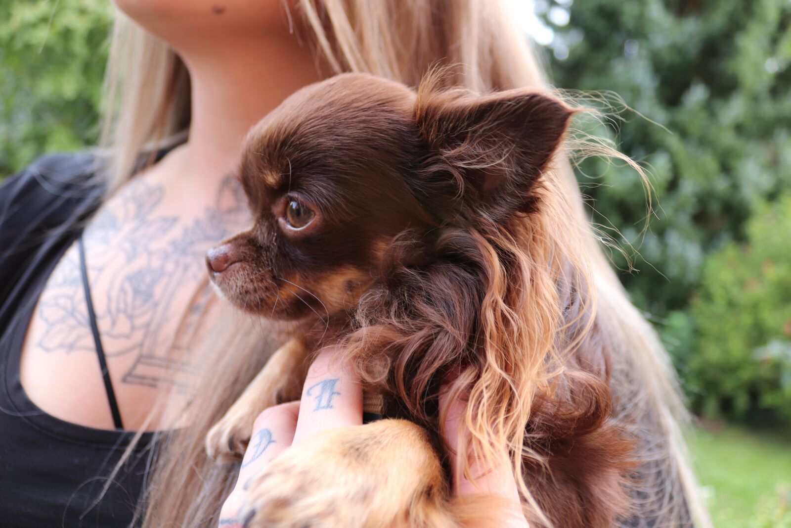 Canon EOS 200D (EOS Rebel SL2 / EOS Kiss X9) sample photo. Animal, dog, girl photography