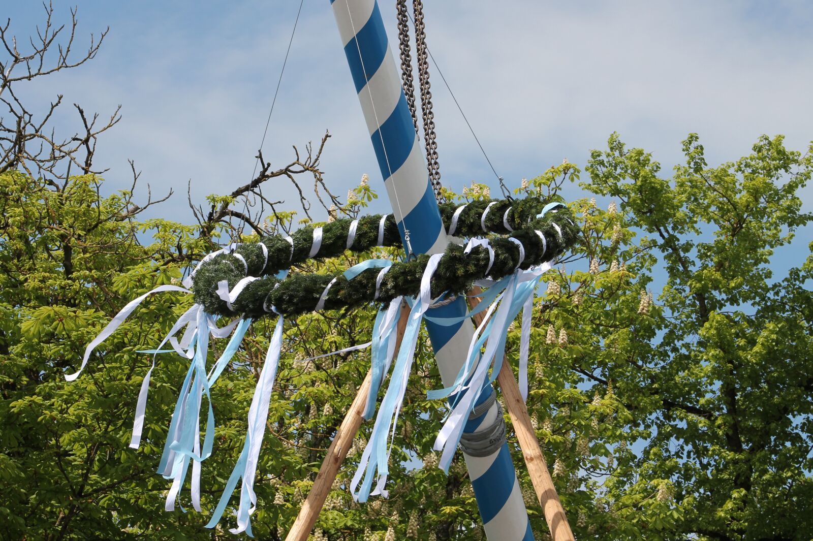 Canon EF75-300mm f/4-5.6 sample photo. Sky, nature, tree photography