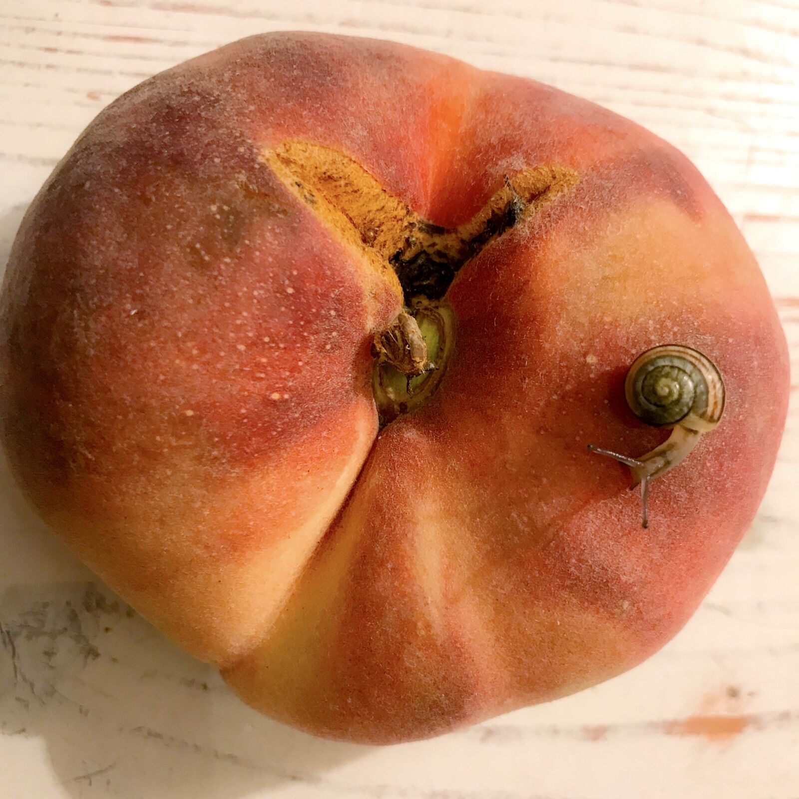 iPhone 7 back camera 3.99mm f/1.8 sample photo. Peach, fruit, ripe photography