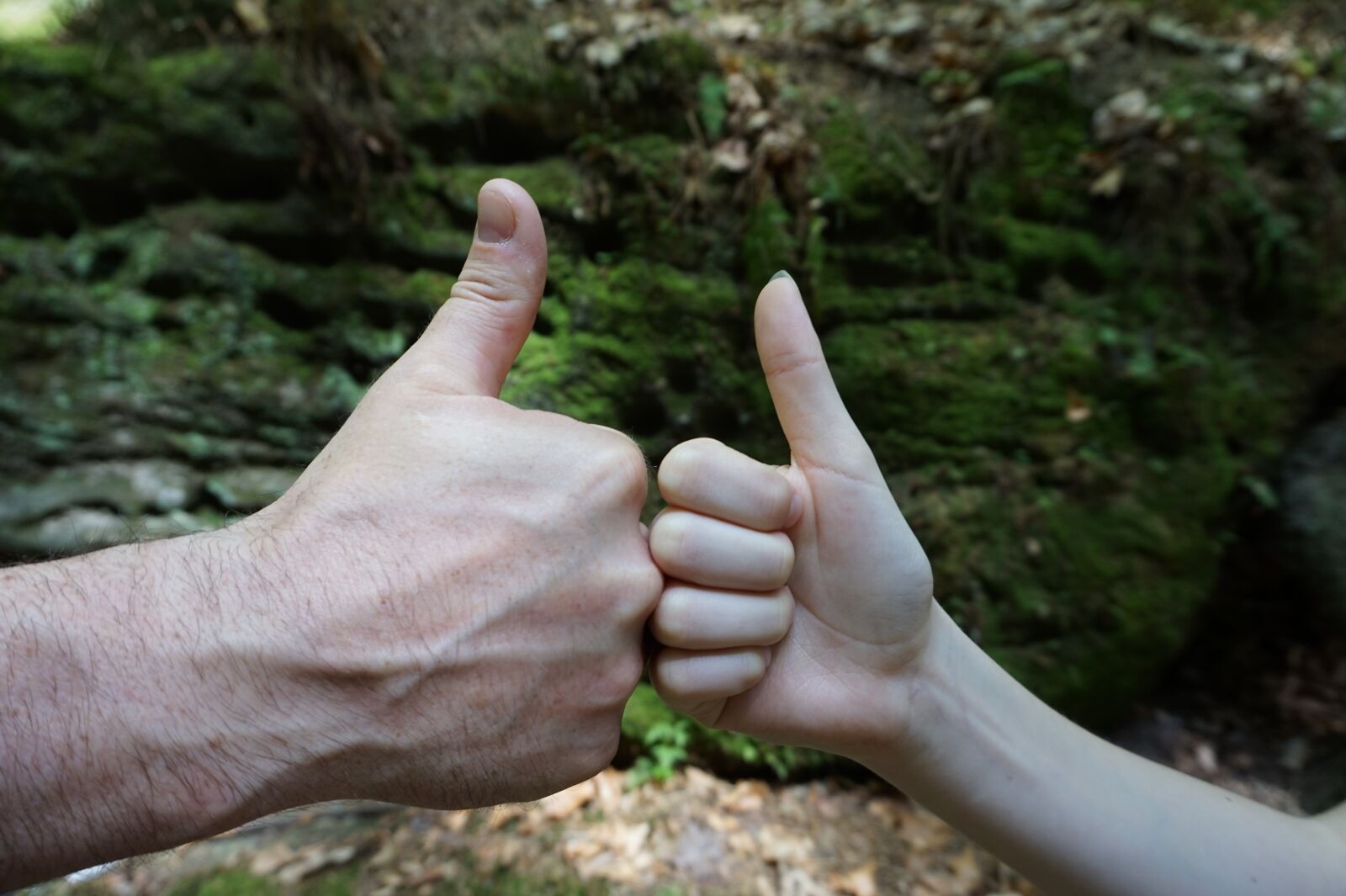 Sony Alpha a5000 (ILCE 5000) sample photo. Hand, farewell, welcome photography