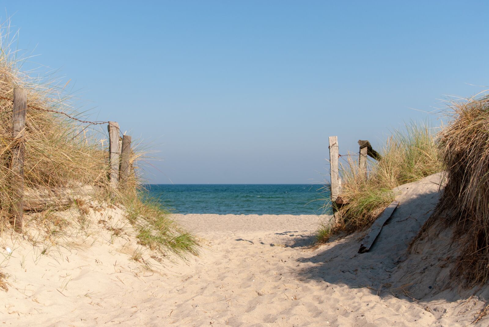 Nikon D200 sample photo. Dune, sand, dunes photography
