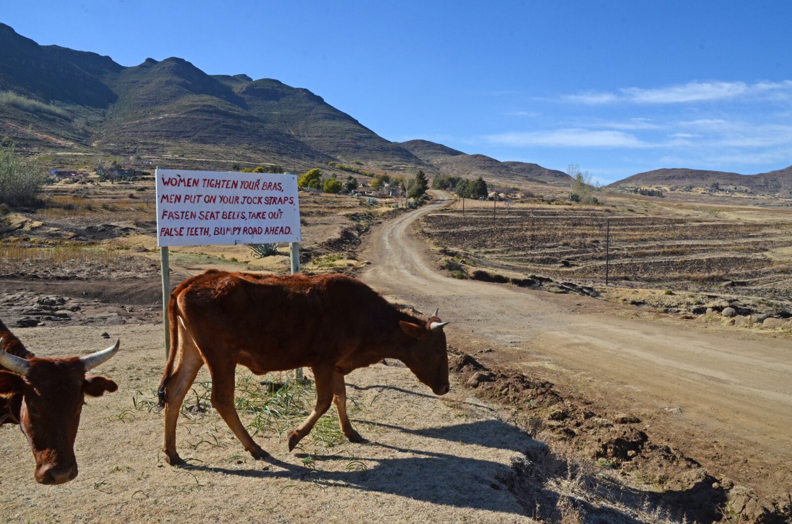 Nikon D7000 sample photo. Lesotho, road, sign photography
