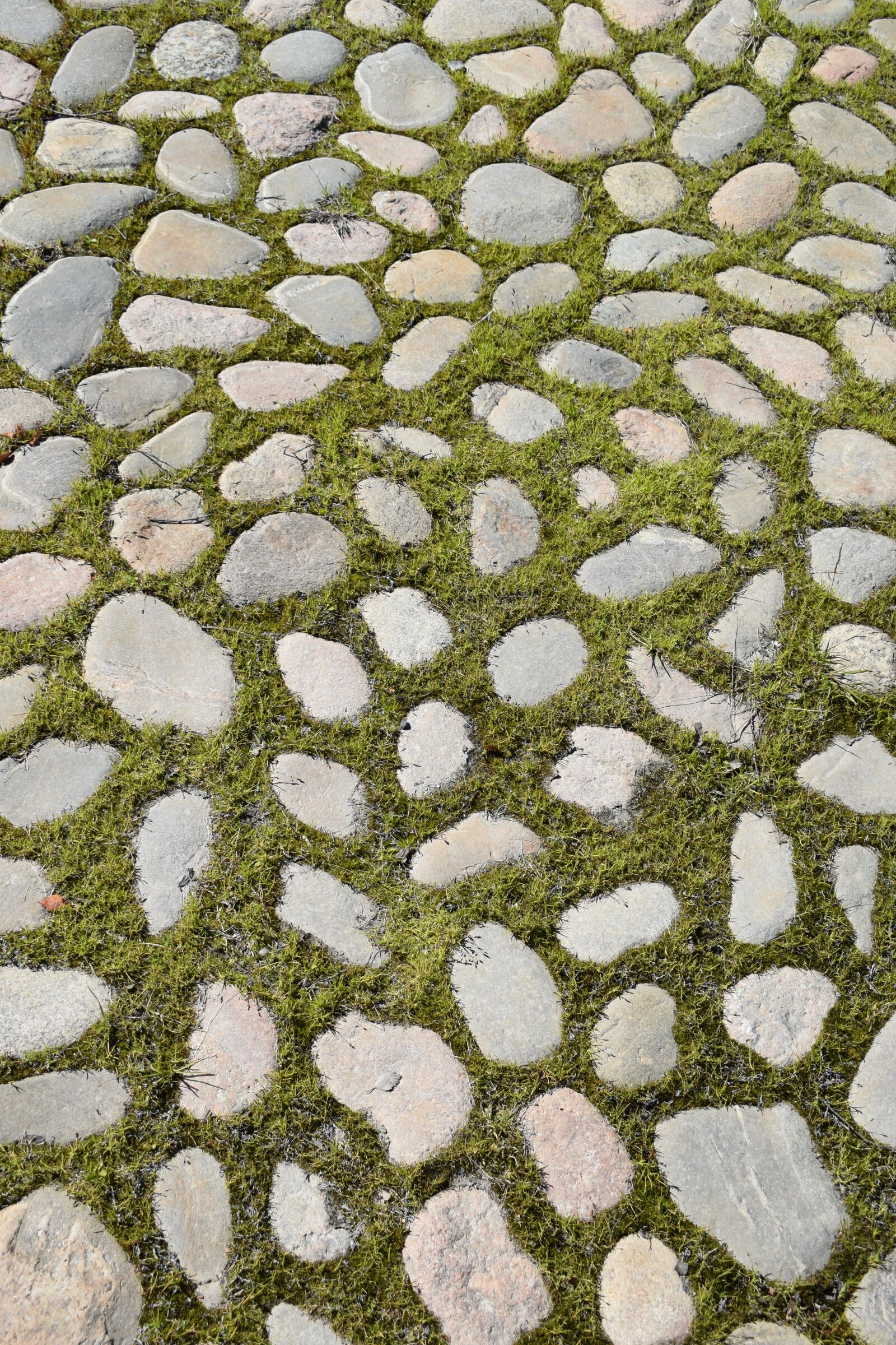 Nikon D3300 sample photo. Stone, street, kiveytys photography