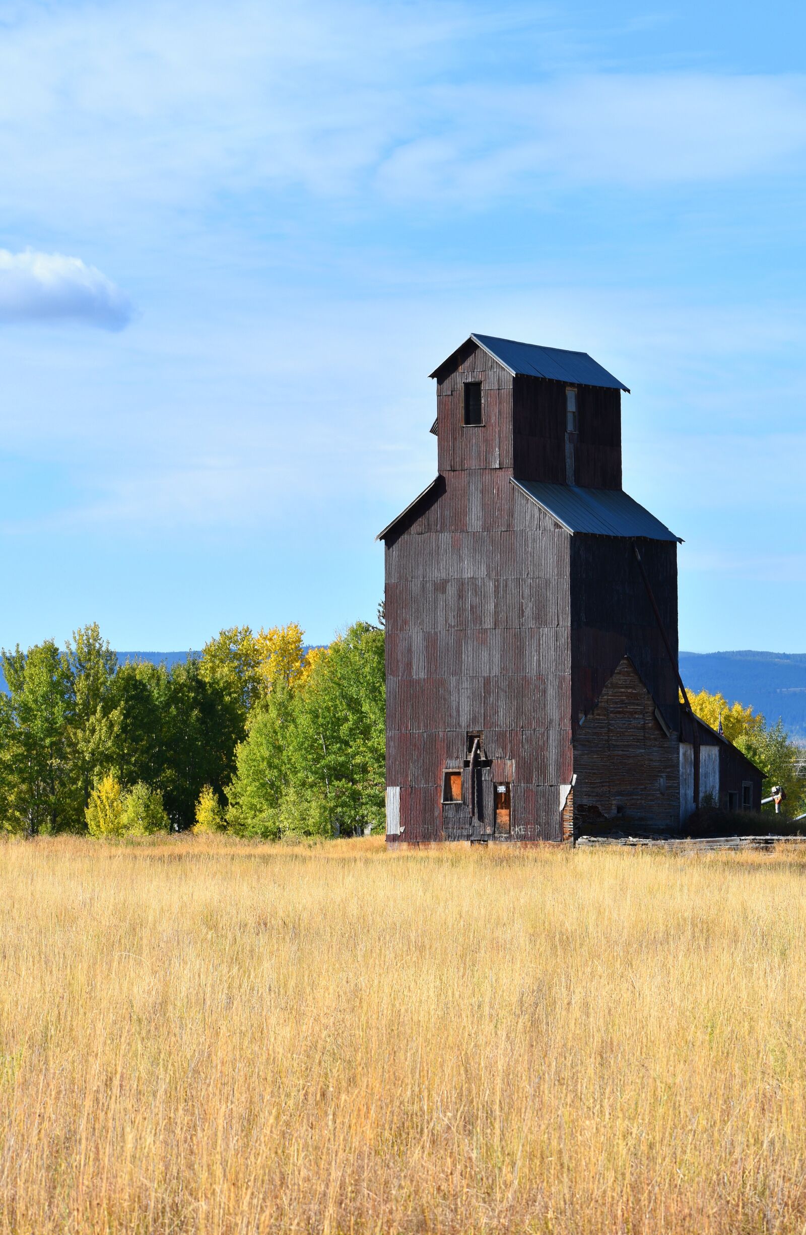 Nikon D5600 sample photo. Teton county, idaho, old photography