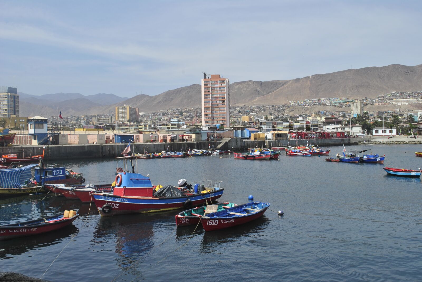 Nikon D3000 sample photo. Chile, antofagasta, spring photography