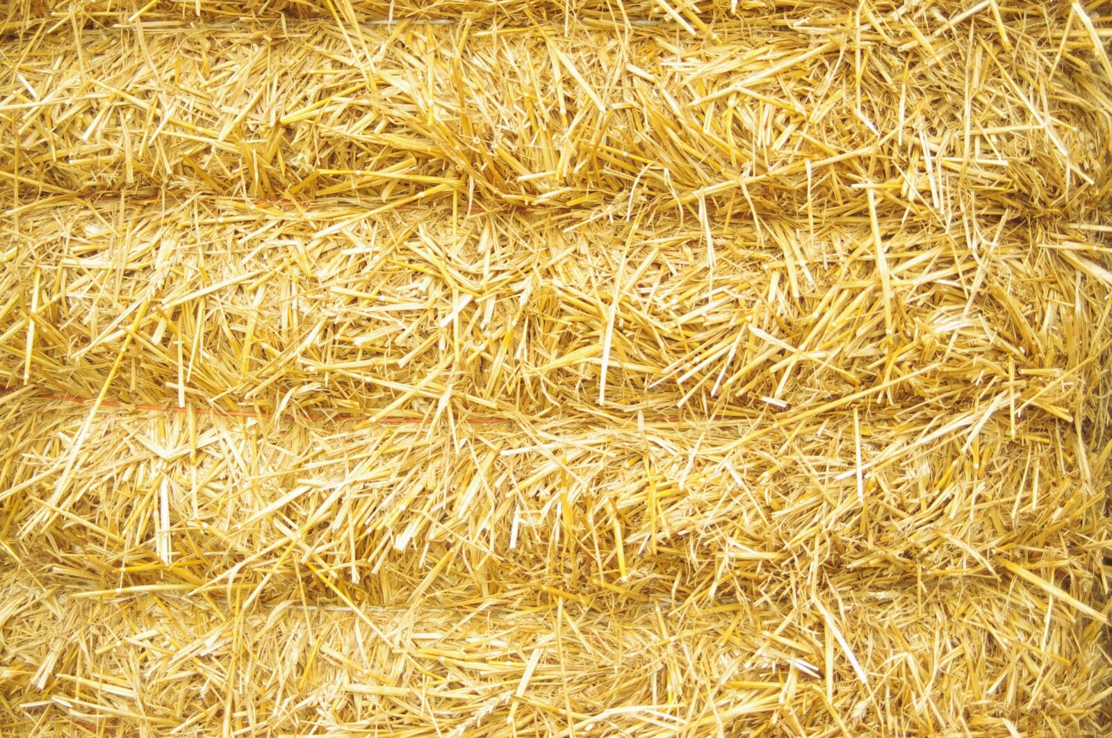 Pentax K-x sample photo. Hay, straw, bale photography