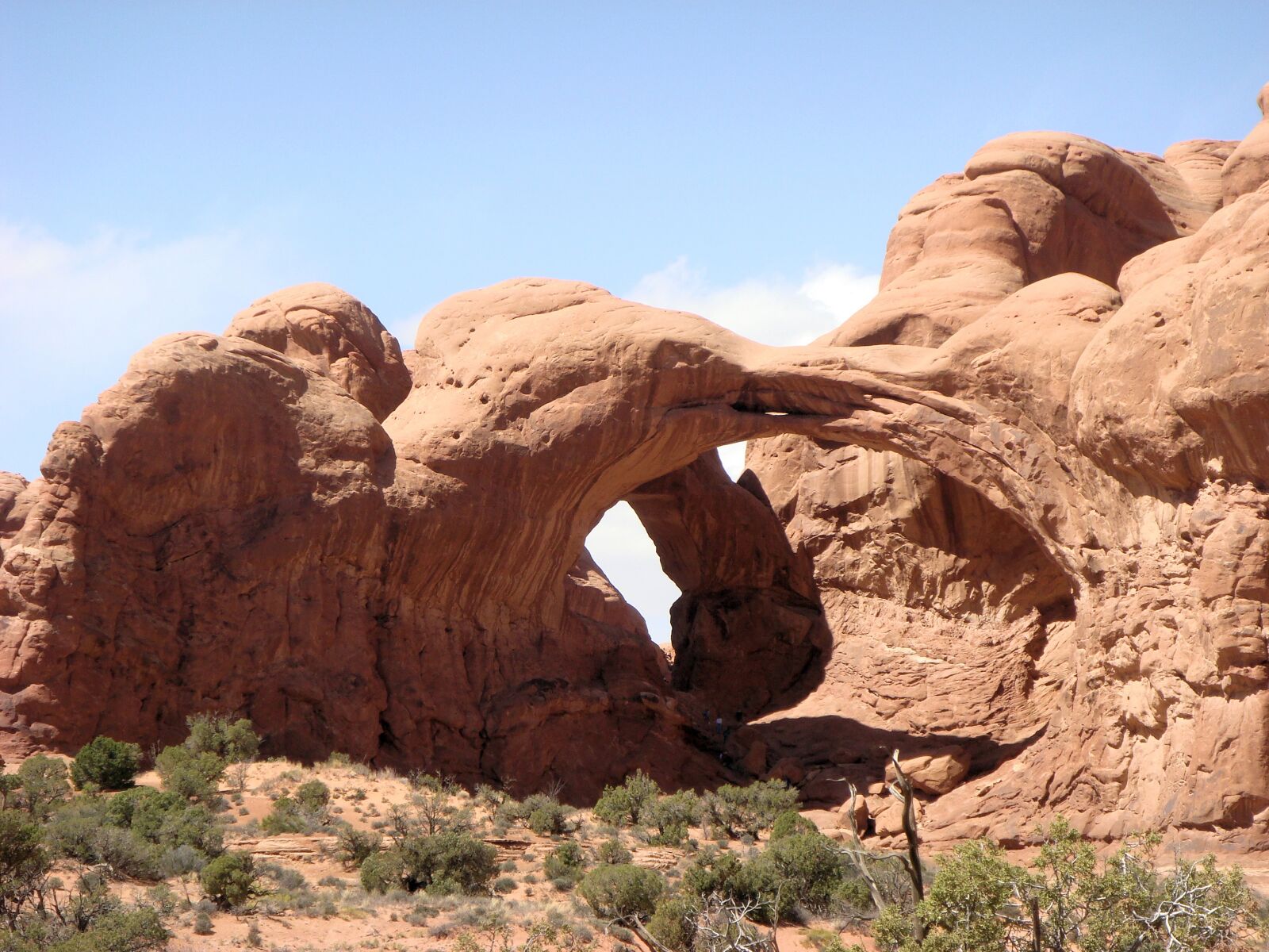 Sony DSC-T100 sample photo. Natural bridge, arches national photography