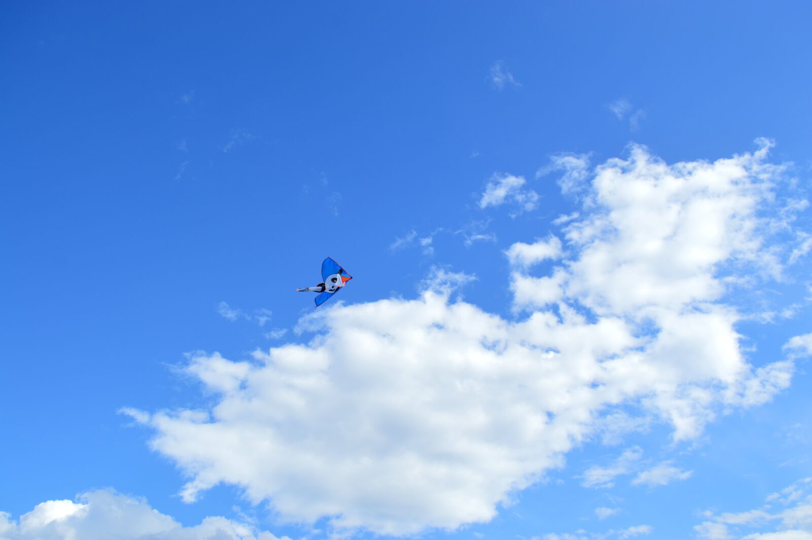 Nikon D3200 sample photo. Kite, sky, flight photography