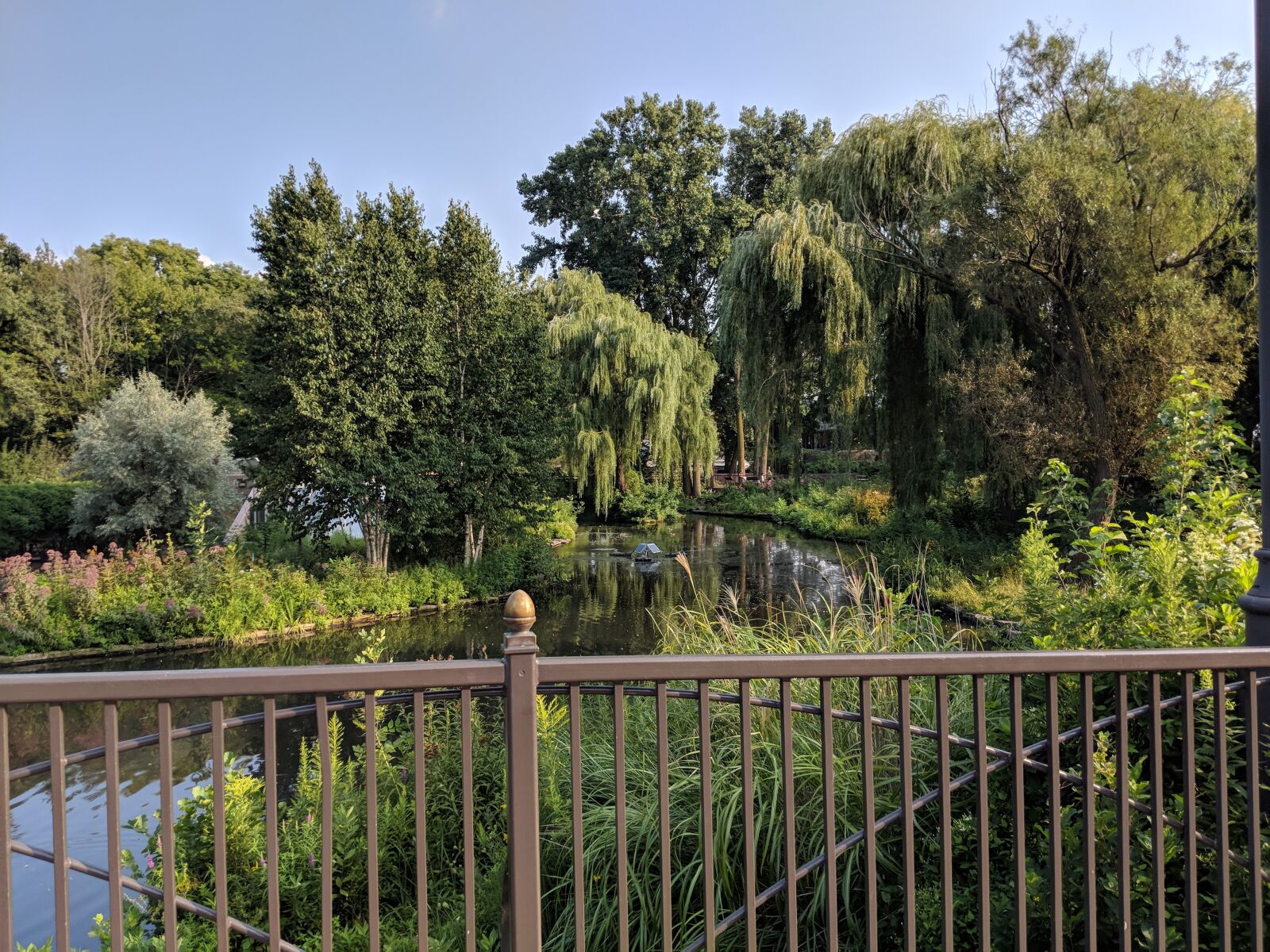 Google Pixel 2 sample photo. Chicago lincoln zoo, serenity photography
