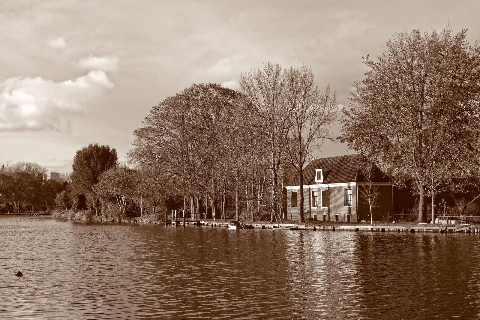 Sony Cyber-shot DSC-RX100 sample photo. Water, river, farm photography