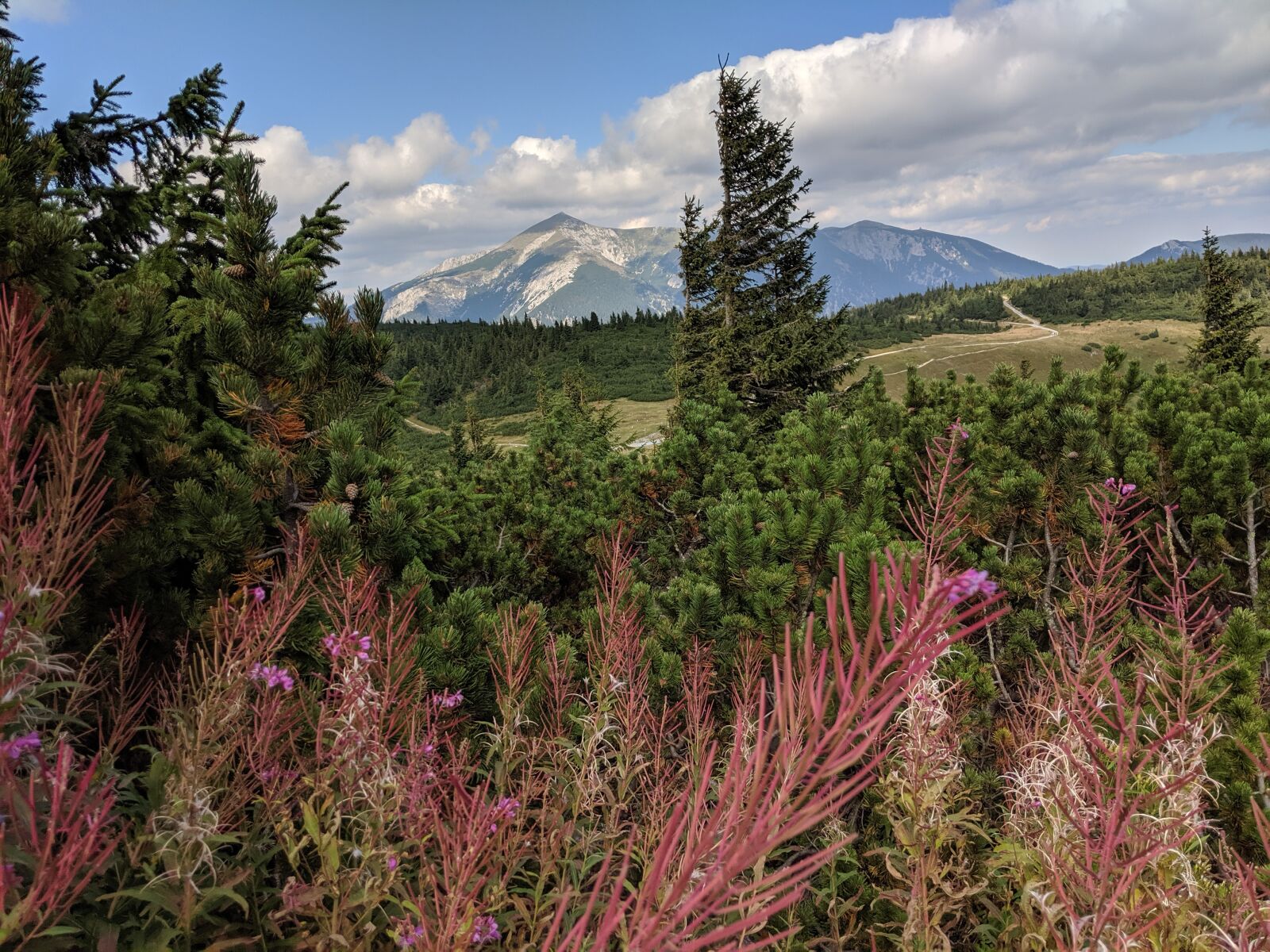 Google Pixel 2 XL sample photo. Mountain, nature, austria photography