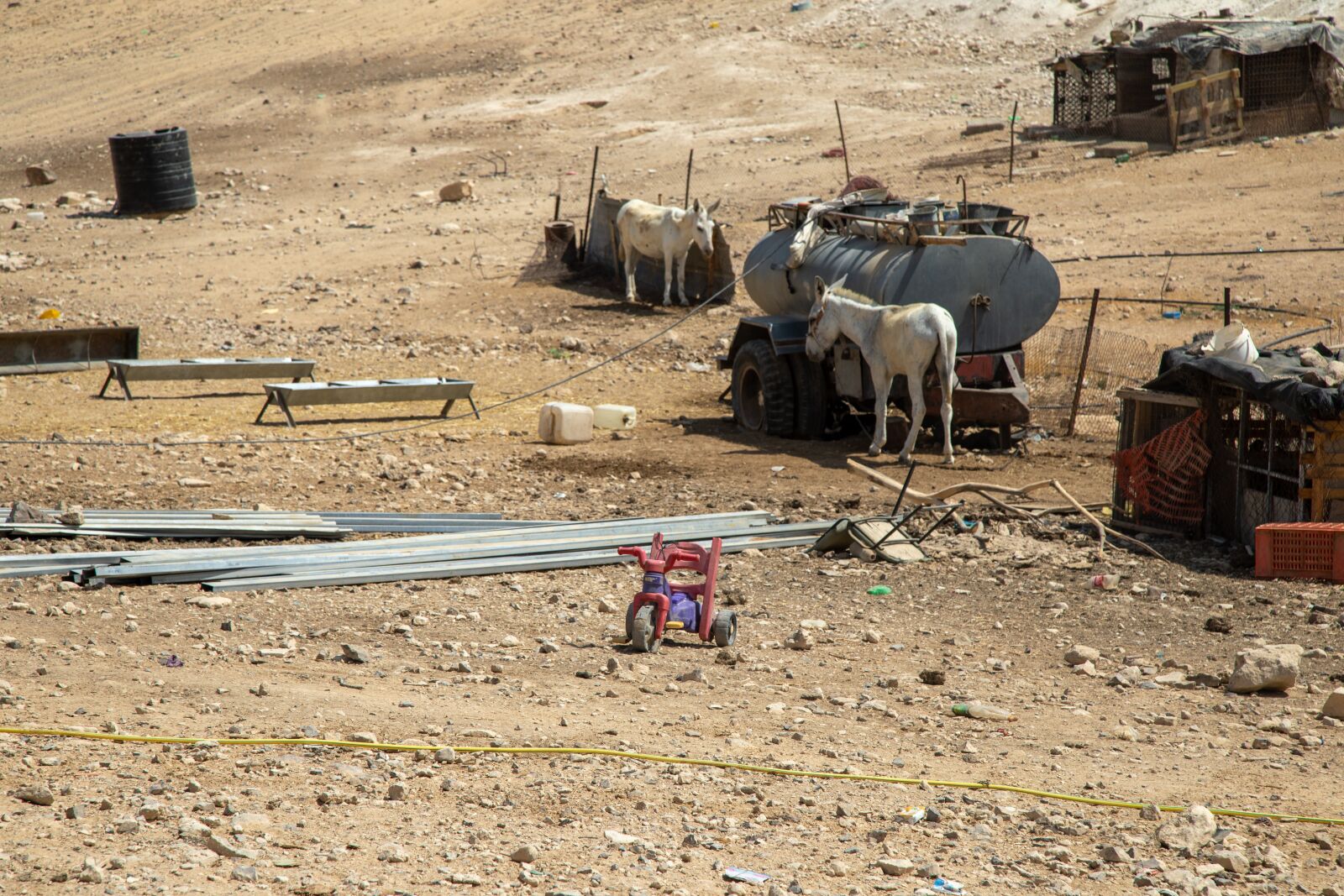 Canon EOS 5D Mark IV sample photo. Nomads, nomadic lifestyle, bedouin photography