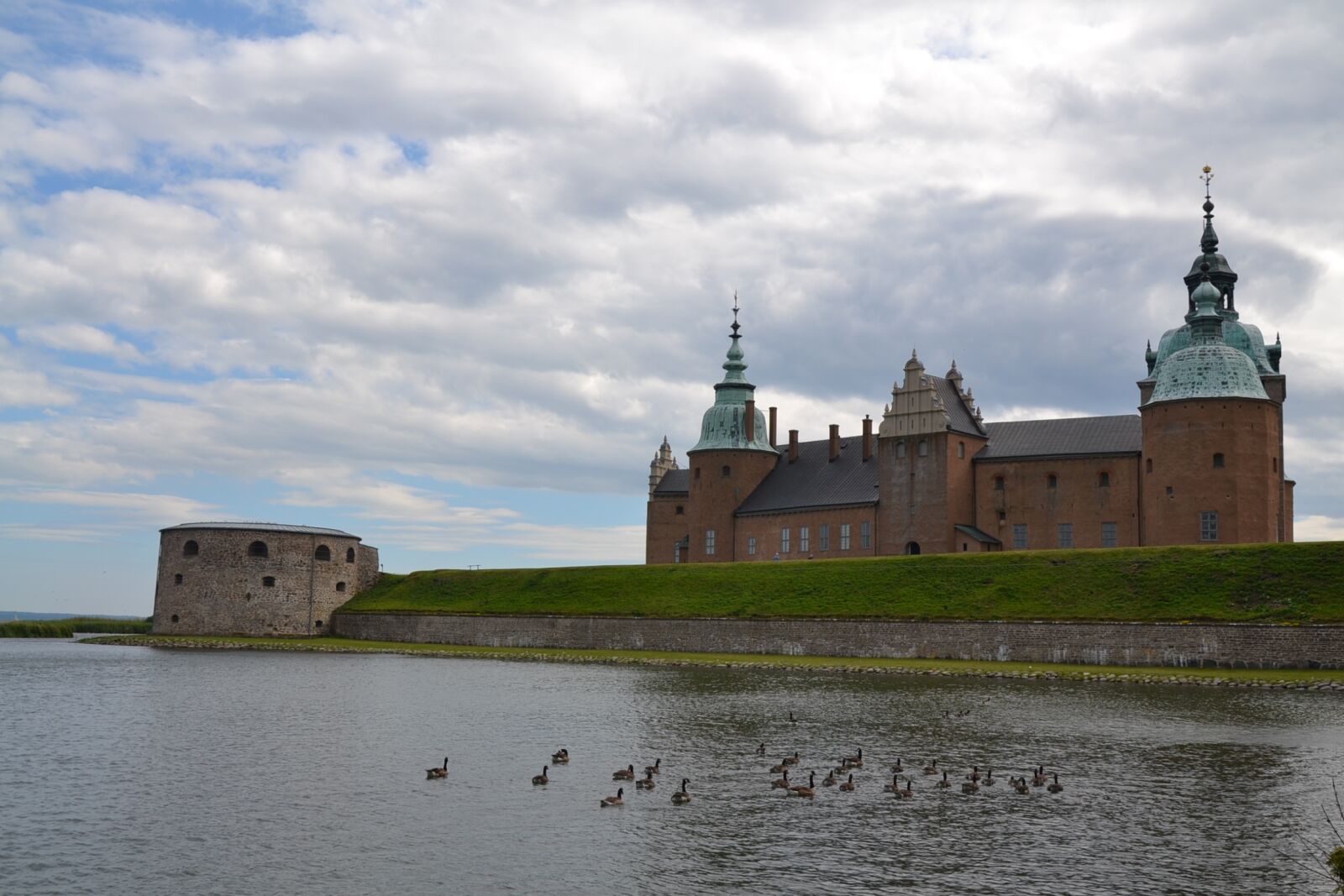 Nikon D3100 sample photo. Sverige, sweden, squid photography