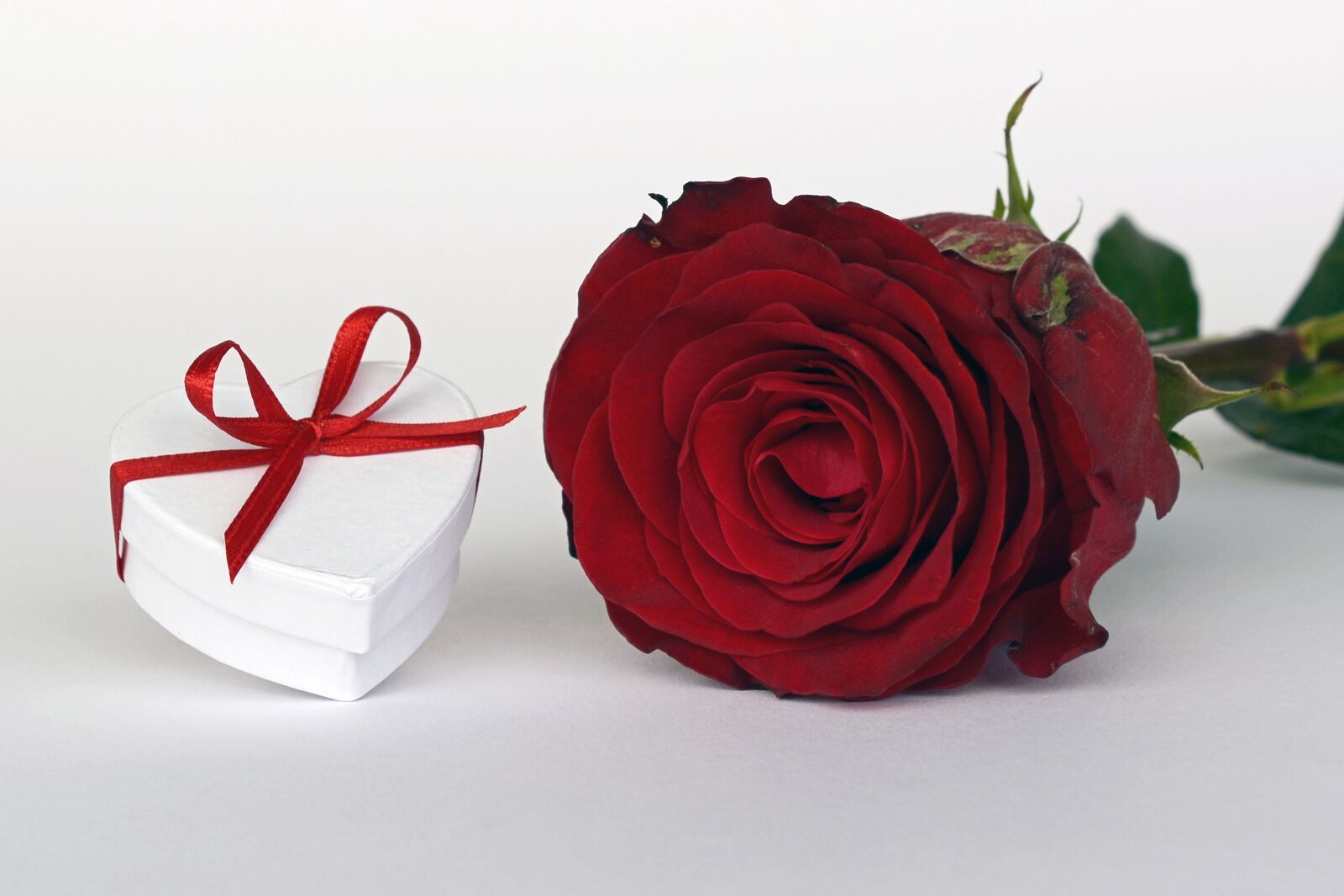 Nikon D7100 sample photo. Rose, heart, gift photography