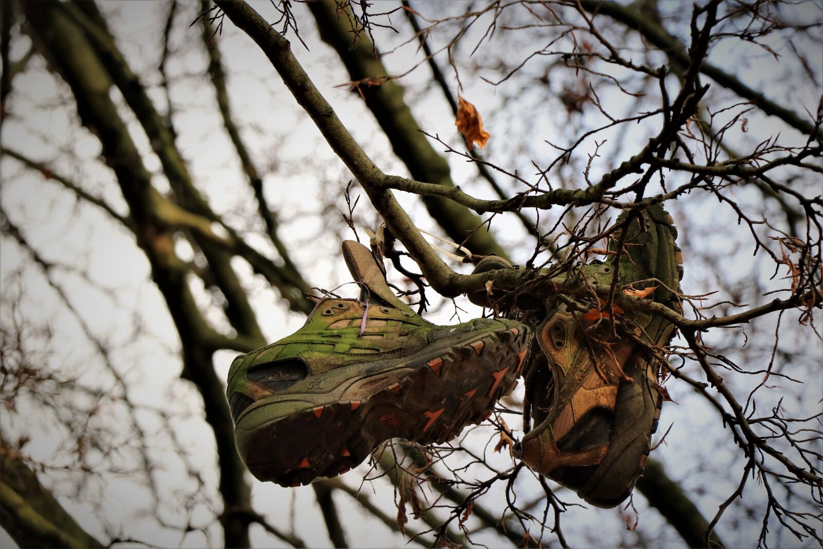 Canon EOS 80D sample photo. Shoe, sneakers, sports shoes photography