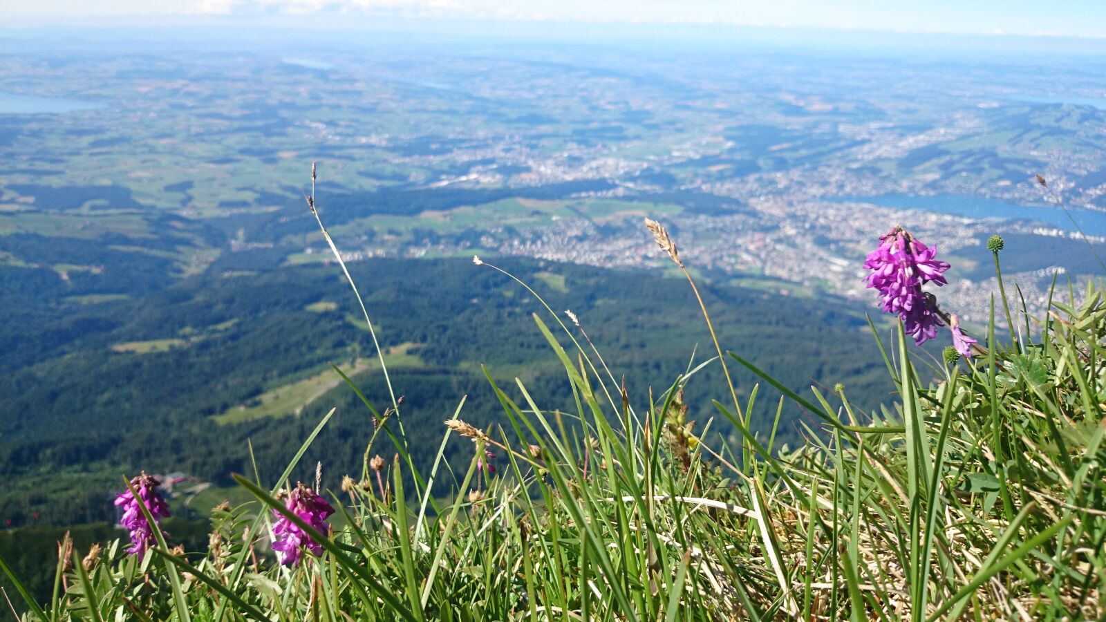 Sony Xperia Z1 Compact sample photo. Panorama, the height of photography