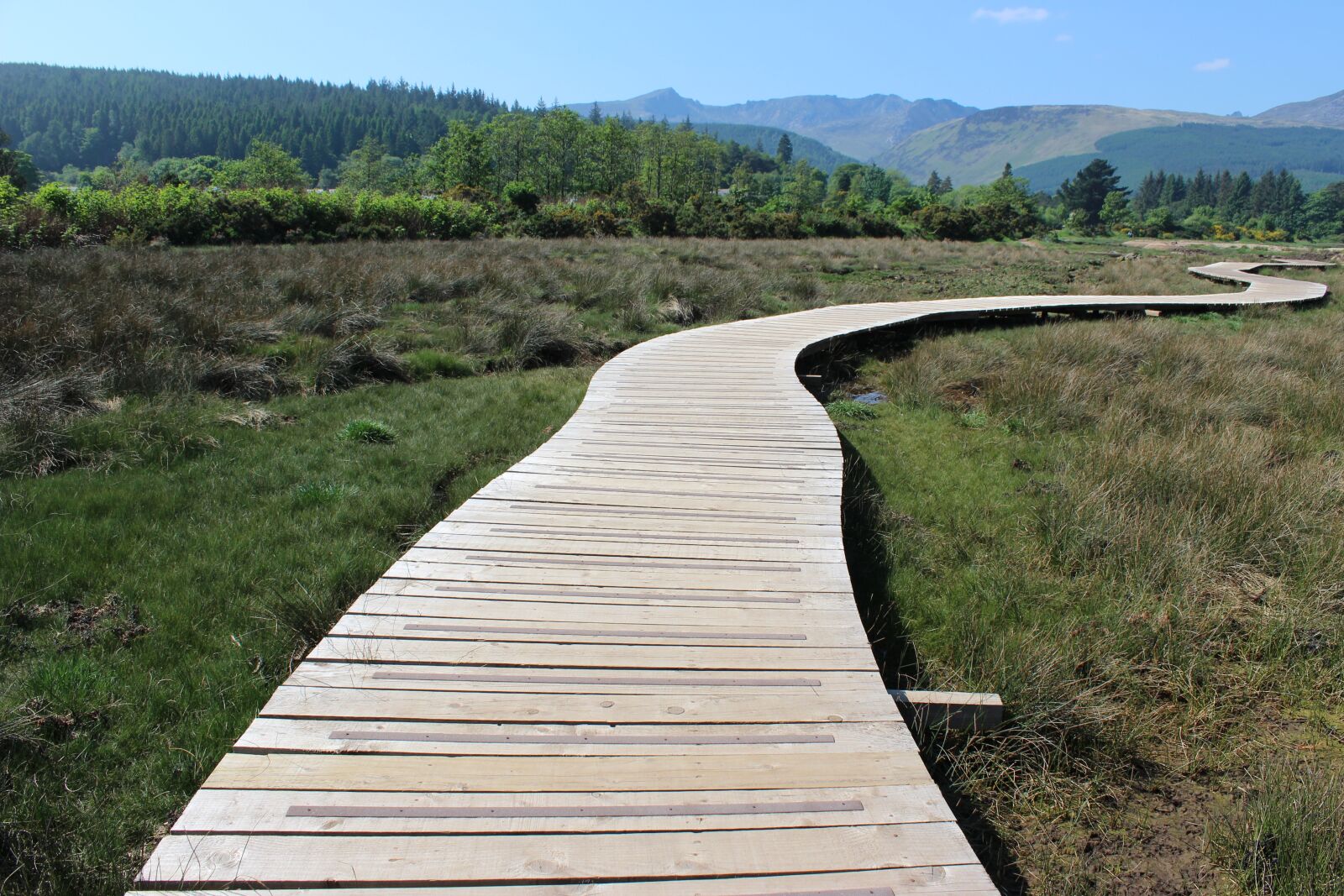 Canon EOS 100D (EOS Rebel SL1 / EOS Kiss X7) sample photo. Arran, path, way photography