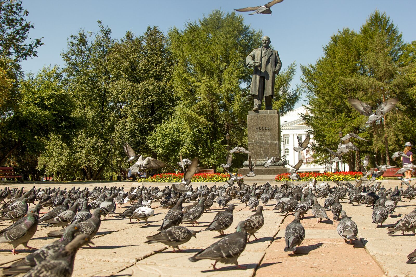 Canon EF 24-105mm F4L IS USM sample photo. Pigeons, lenin, area photography