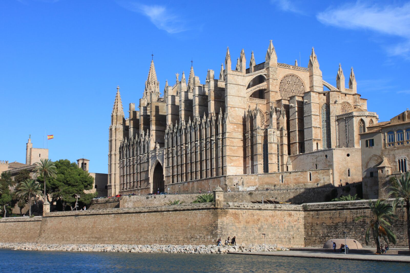 Canon EOS 500D (EOS Rebel T1i / EOS Kiss X3) sample photo. Mallorca, cathedral, palma photography