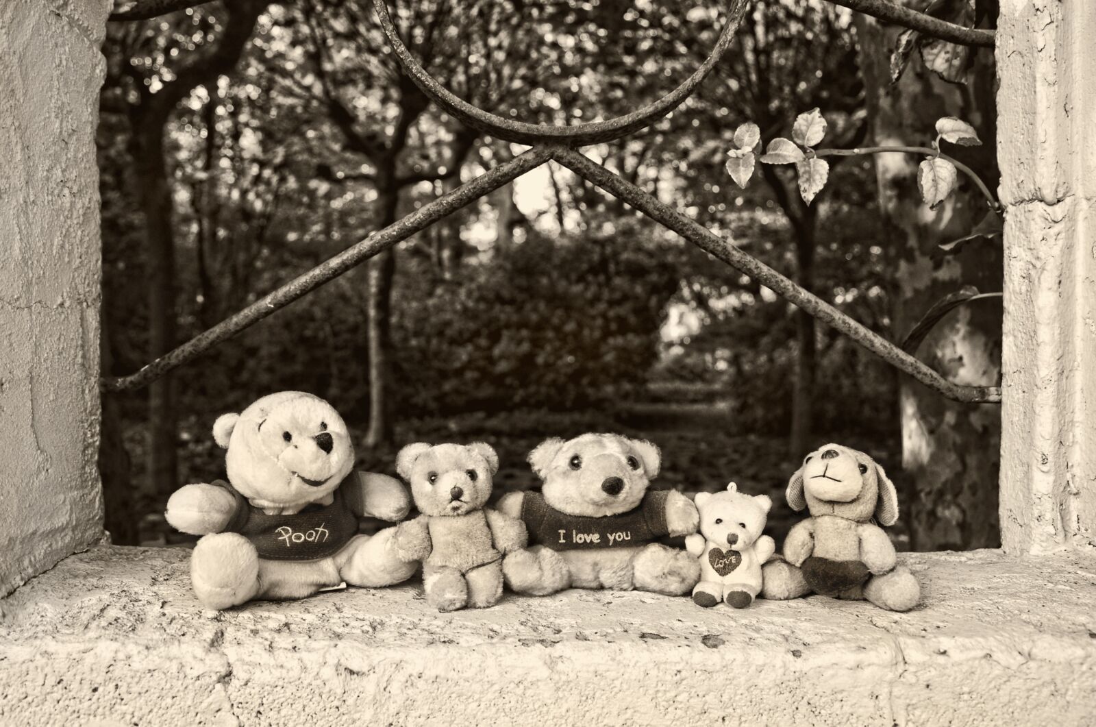 Nikon D90 sample photo. Teddy bear, bear, stuffed photography