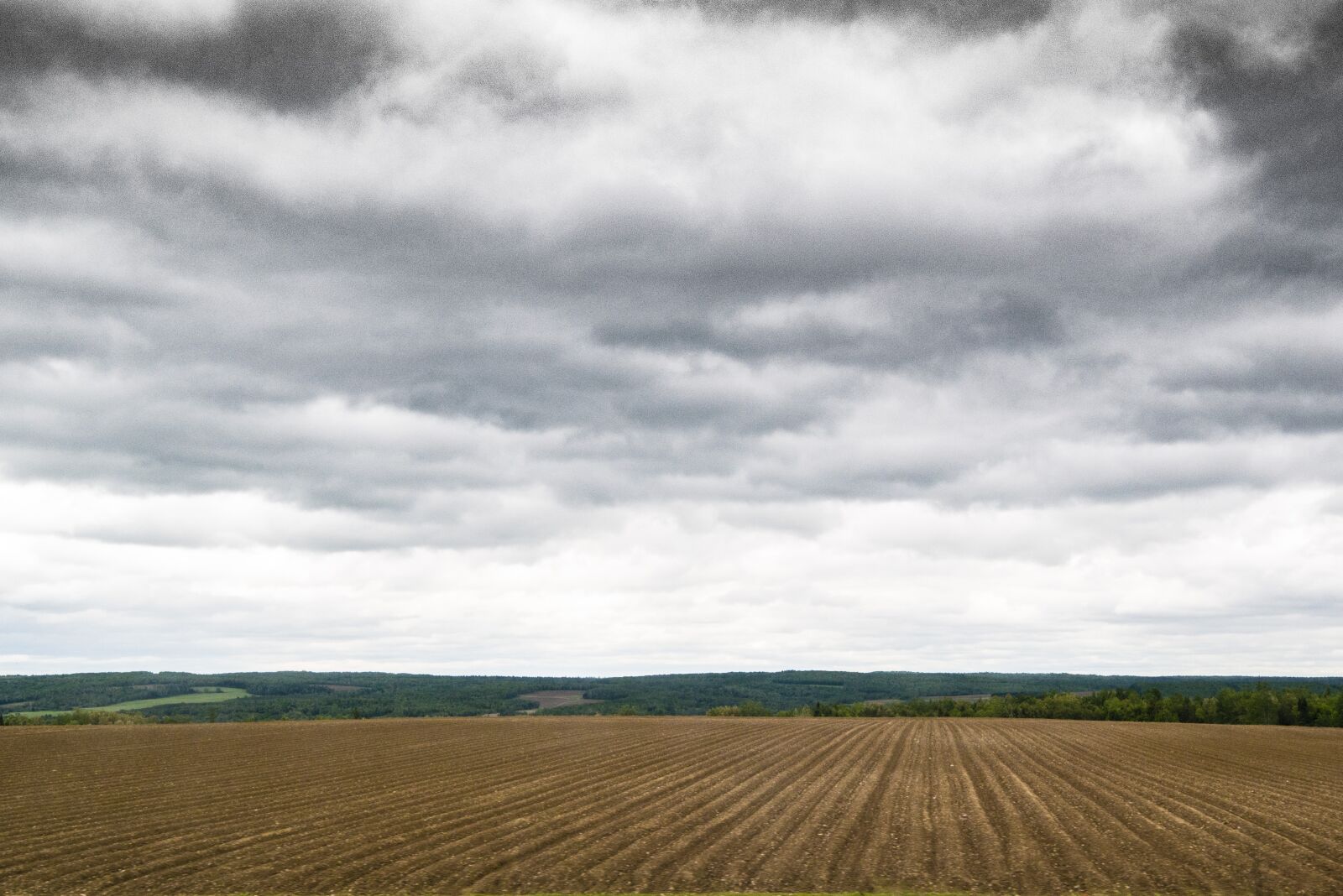 Nikon D800 sample photo. Clouds, field, landscape photography