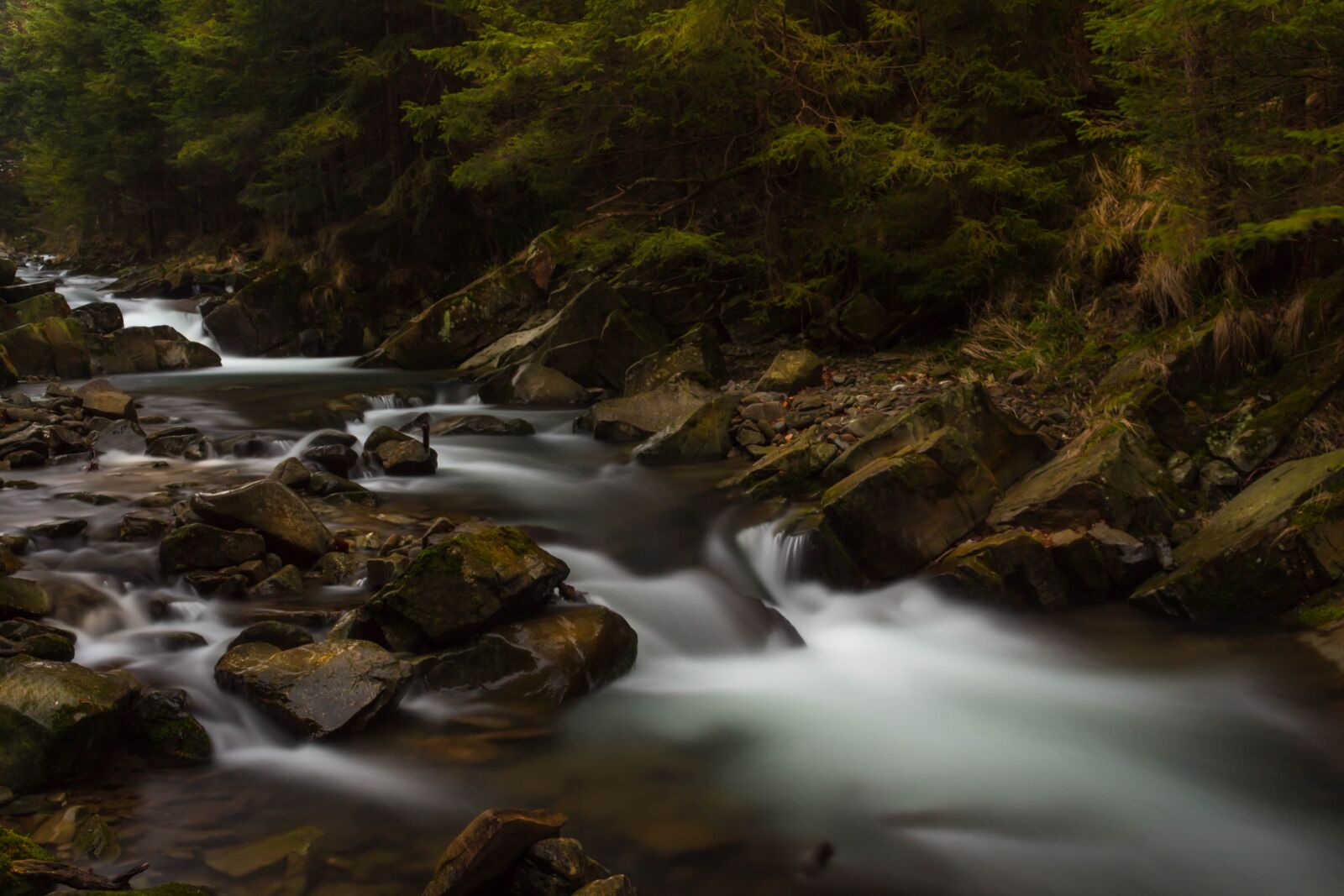 Canon EOS 700D (EOS Rebel T5i / EOS Kiss X7i) sample photo. River, torrent, forest photography