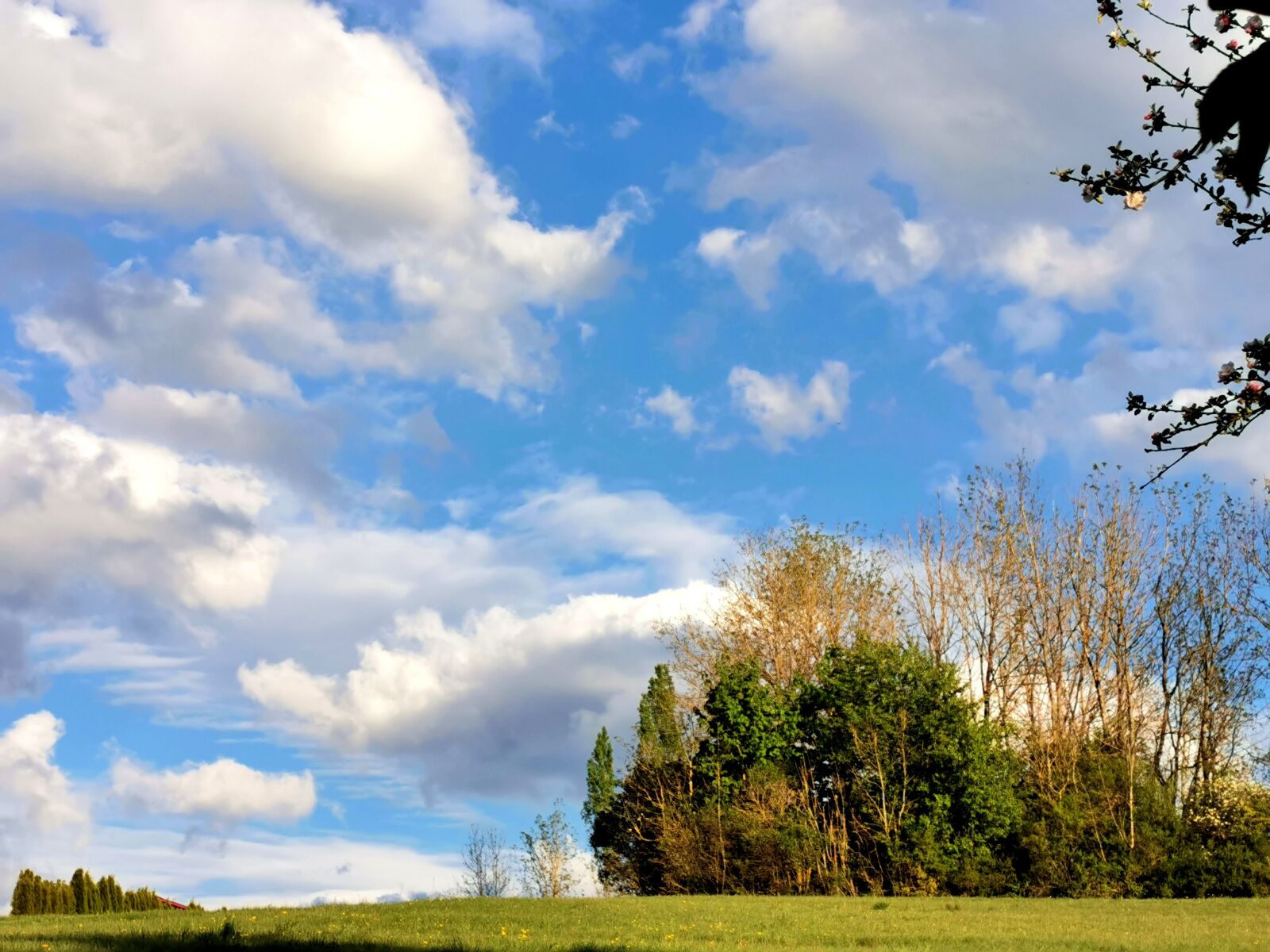 HUAWEI P30 Pro sample photo. Clouds, landscape, summer photography