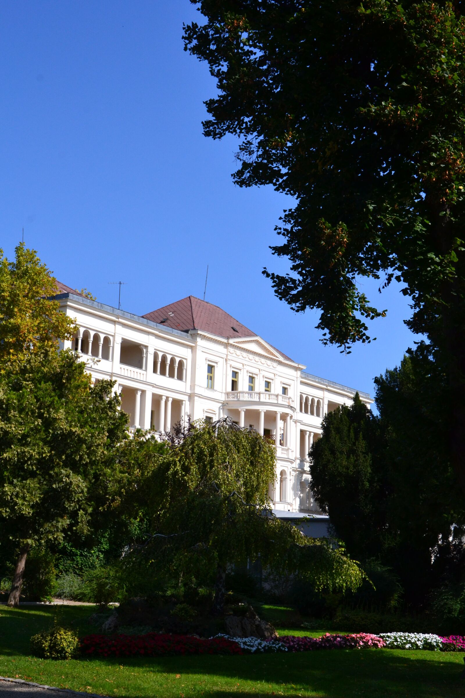Nikon D3100 sample photo. Hungary, balatonf red, heart photography