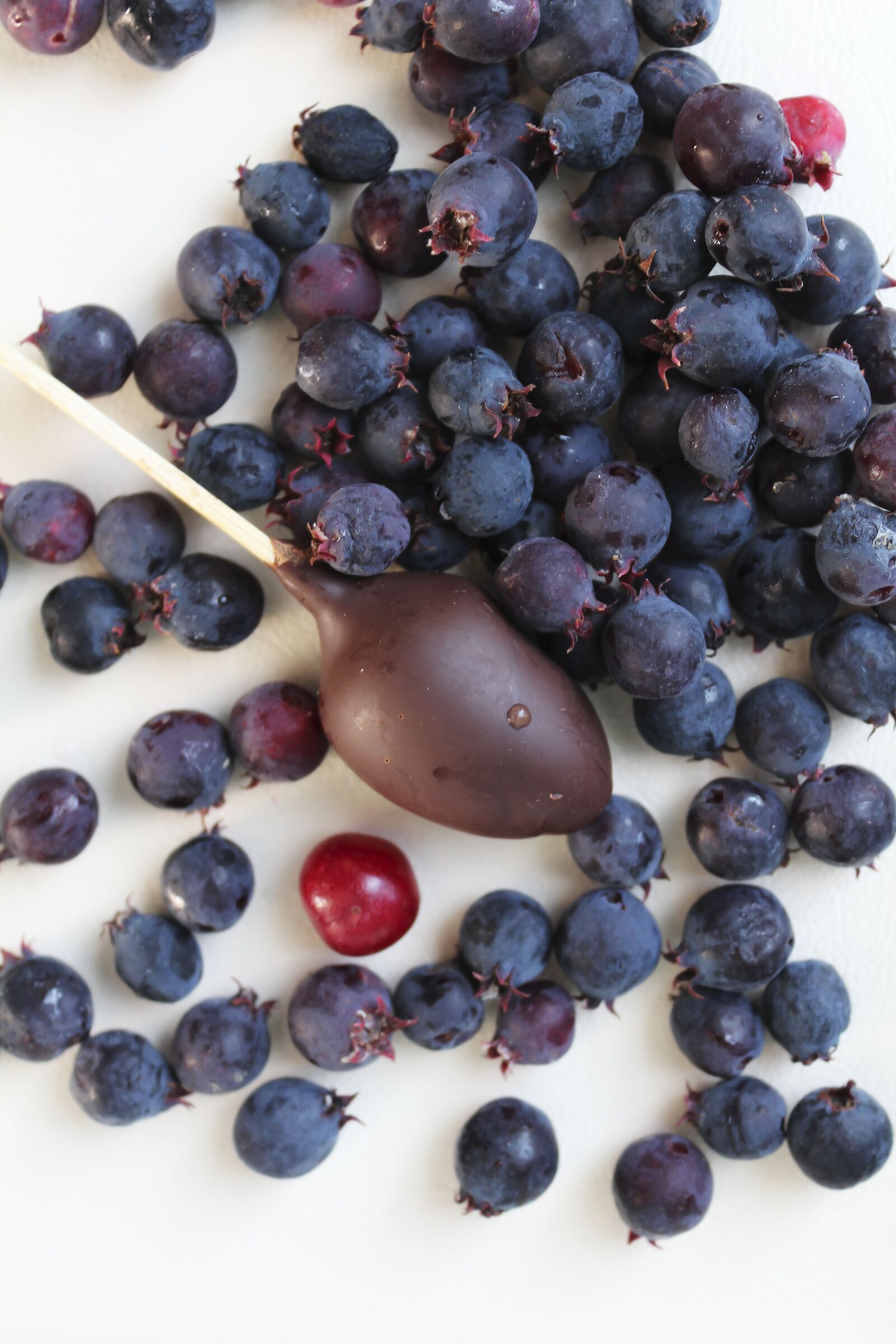 Canon EOS 600D (Rebel EOS T3i / EOS Kiss X5) sample photo. Berry, saskatoon, nutrition photography