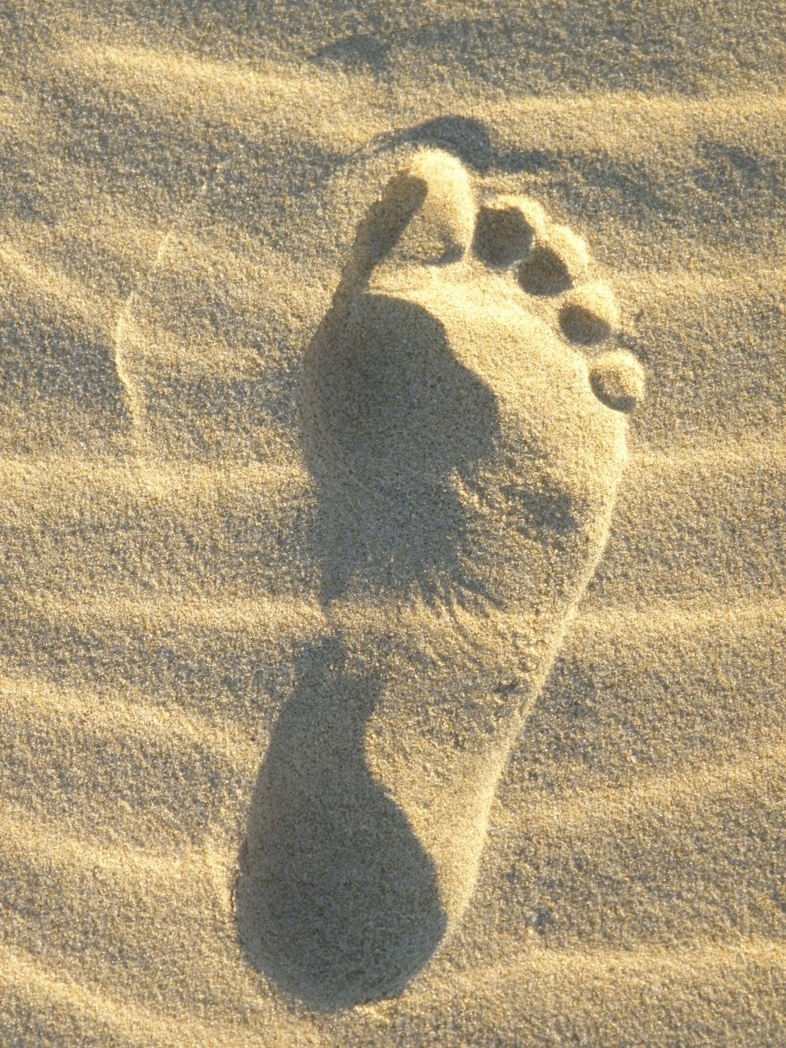 Olympus SP600UZ sample photo. Sand, foot, reprint photography