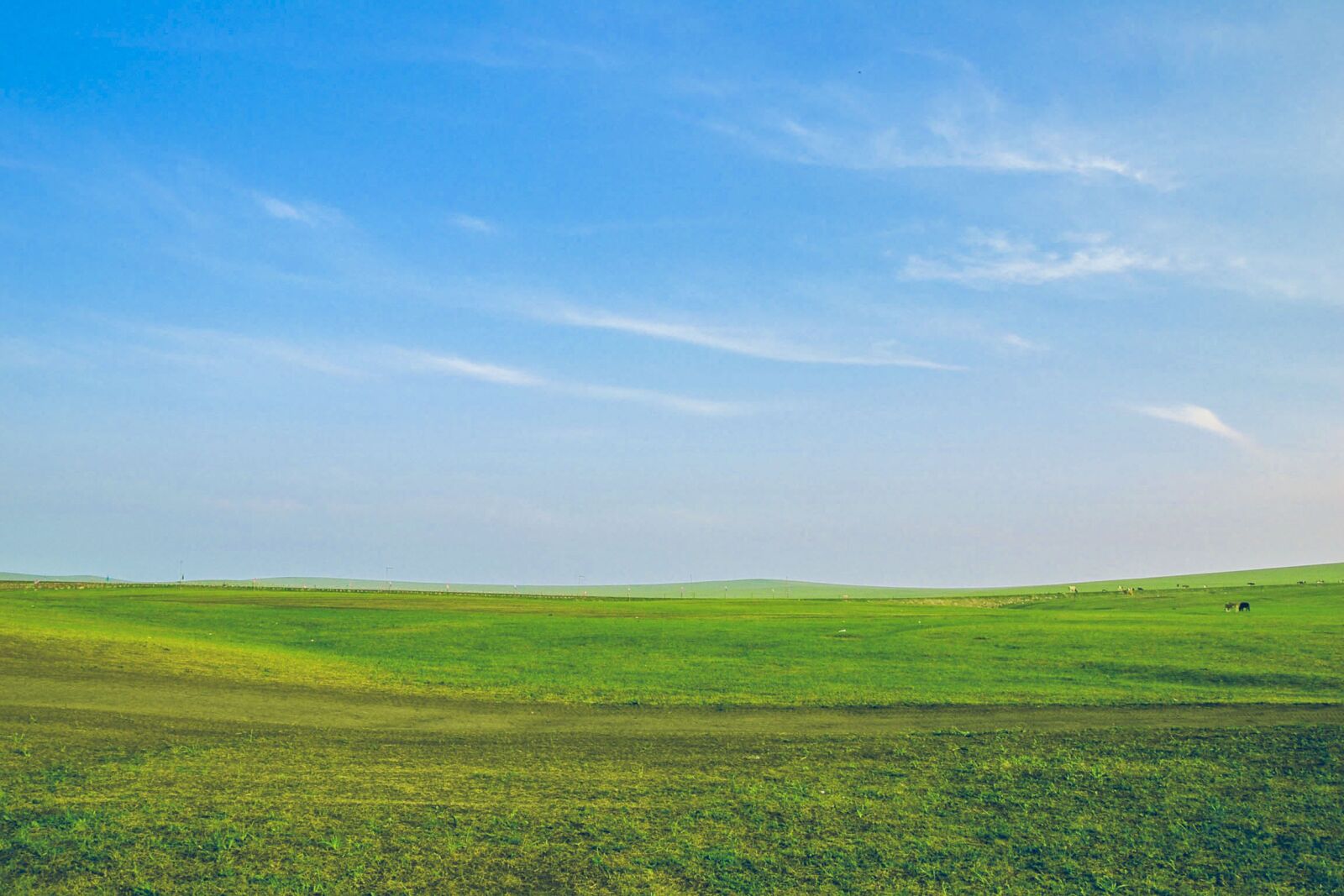 Nikon D3100 sample photo. Sky, blue, nature photography