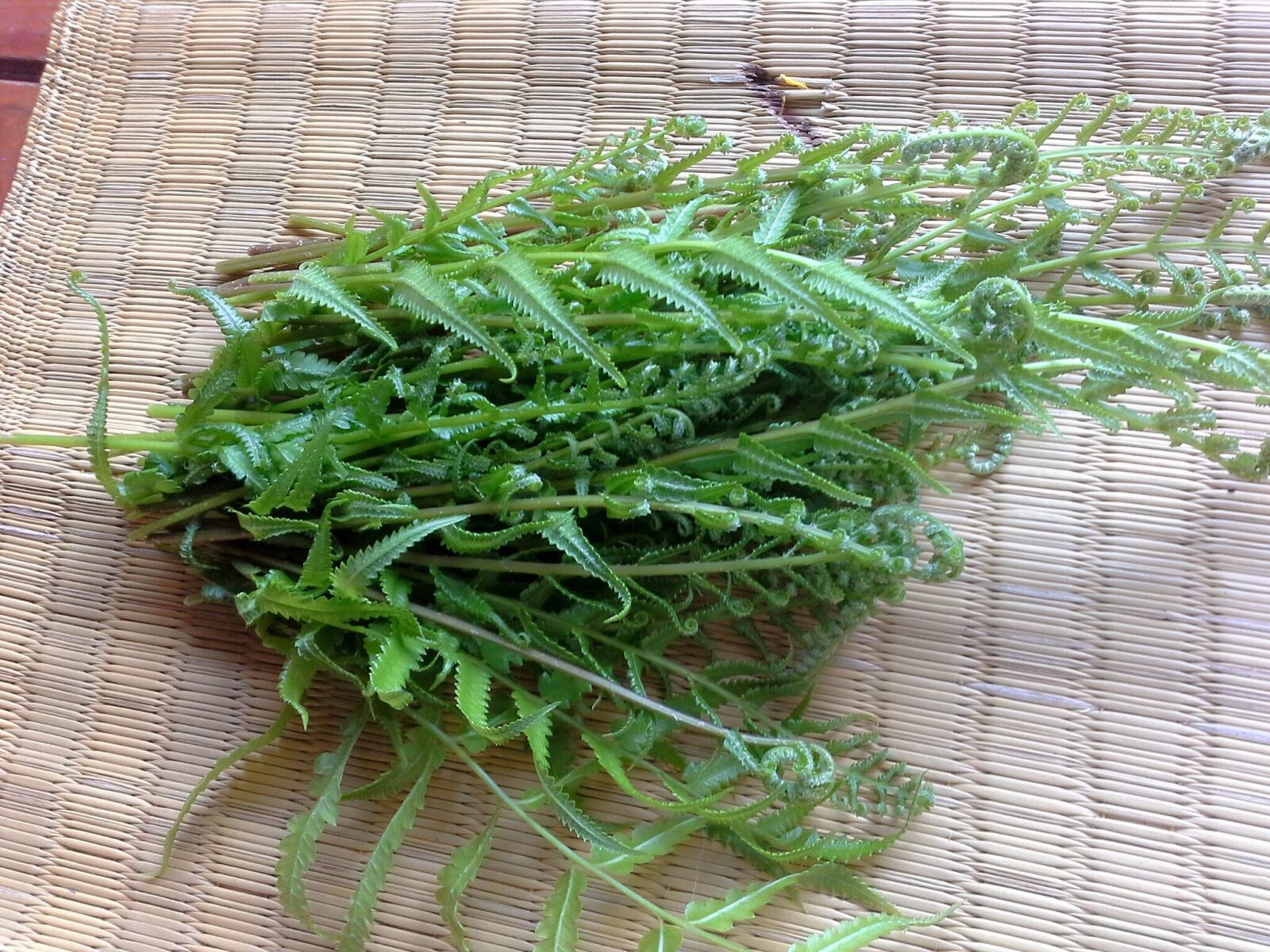 Samsung Galaxy Note 10.1 sample photo