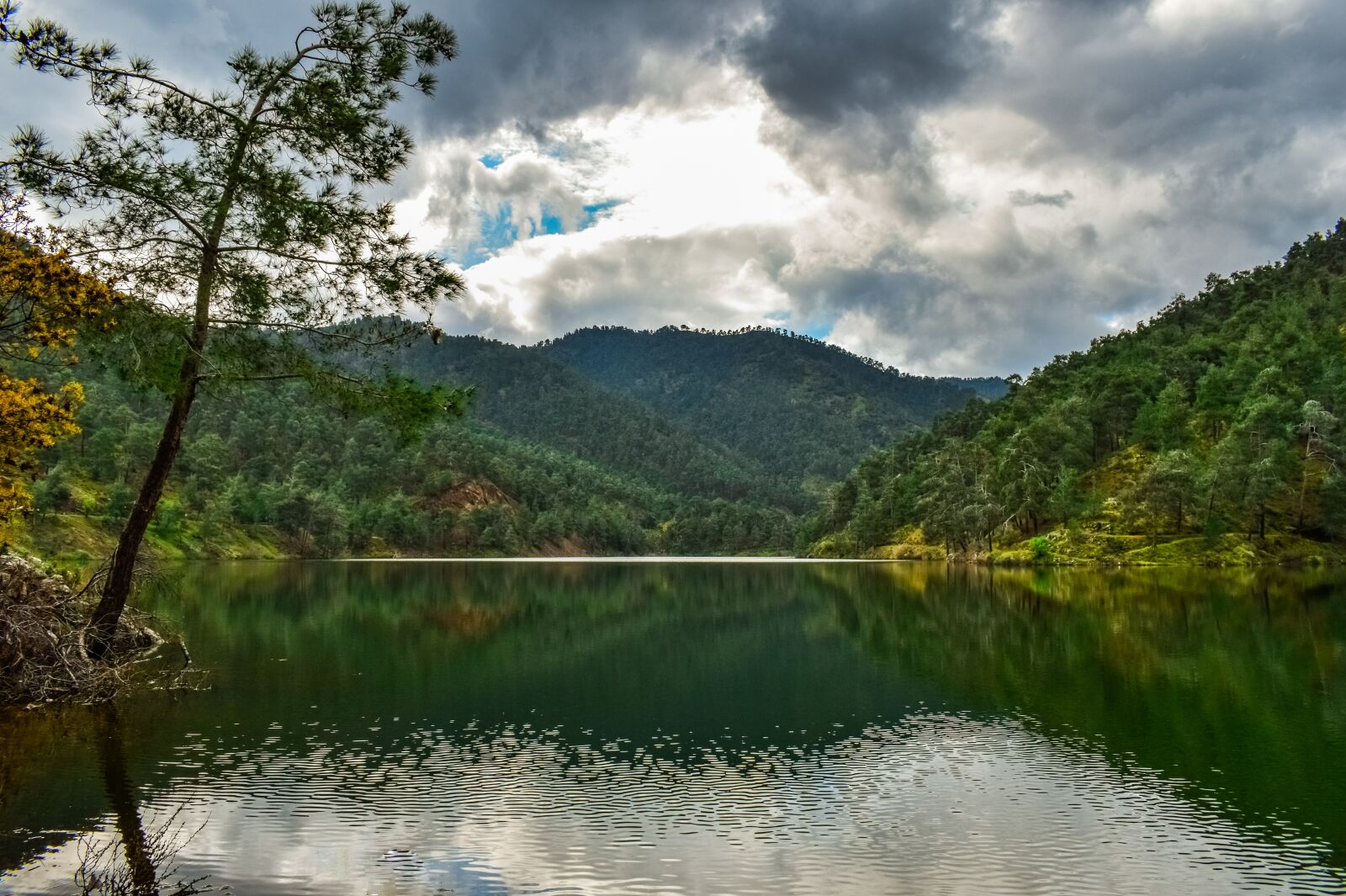 Nikon D3300 sample photo. Lake, mountains, tree photography