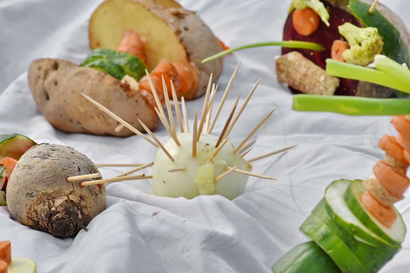 Nikon D5500 sample photo. Creativity, handmade, onion, sticks photography