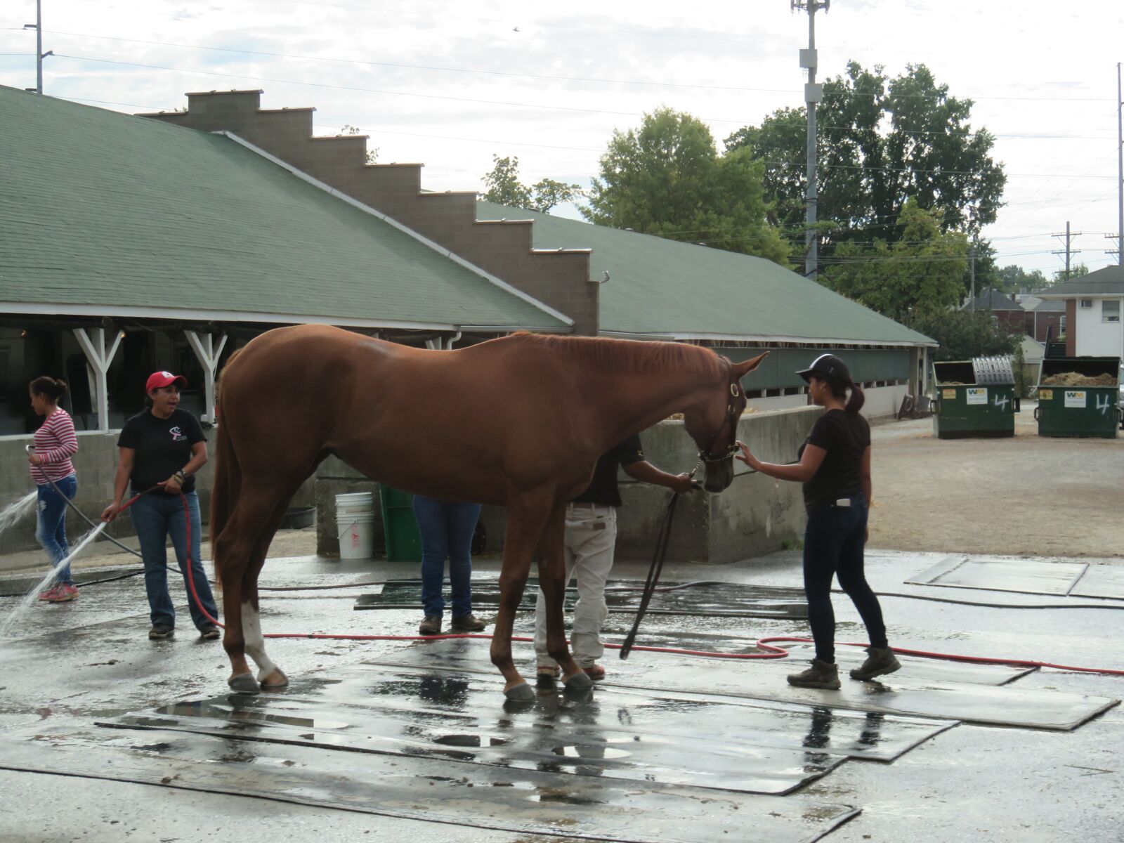 Canon PowerShot SX710 HS sample photo. Horse, animals, churchill downs photography